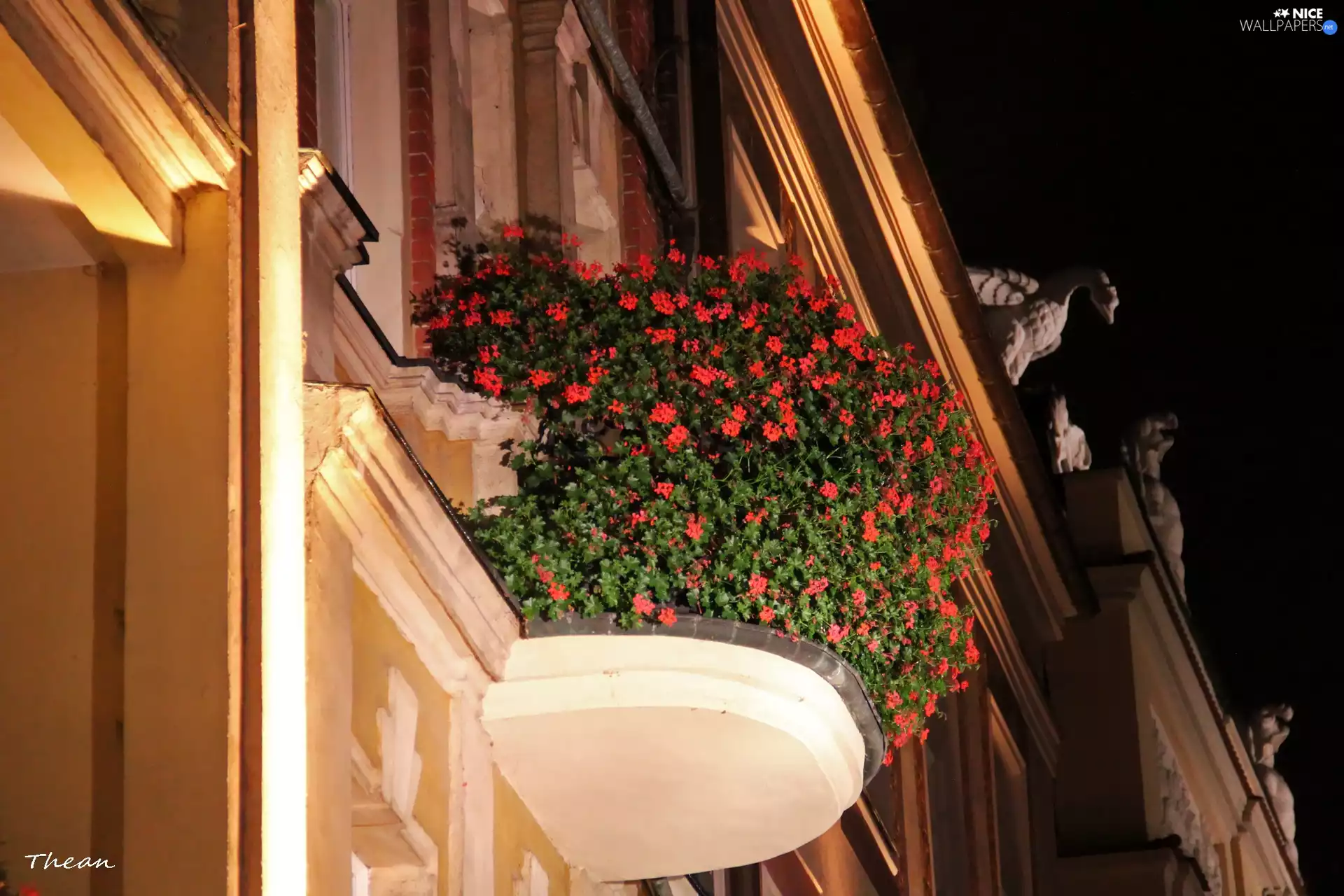 buildings, flowered, Poznań, old town, Night, Balcony