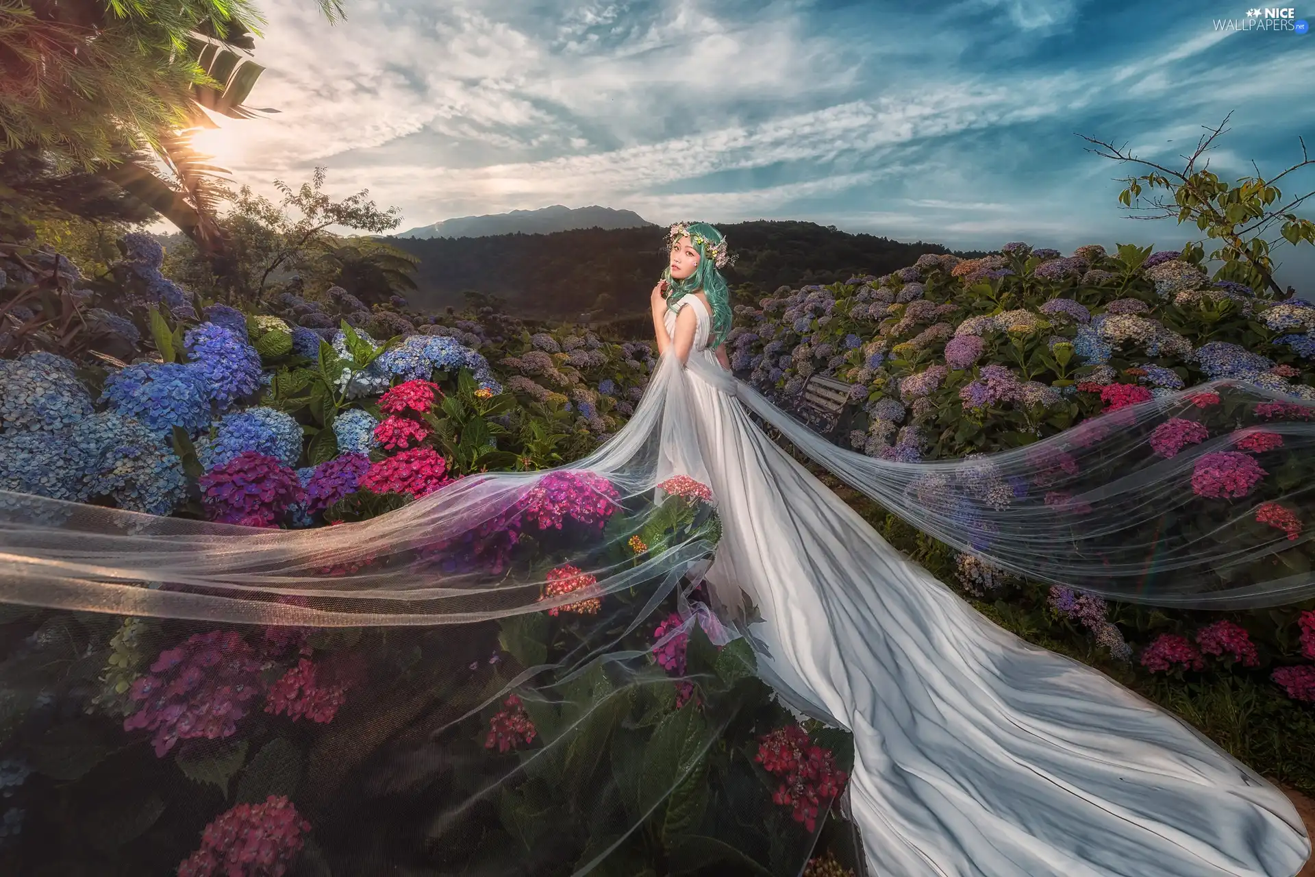 White, Women, green ones, Hair, Dress, hydrangeas