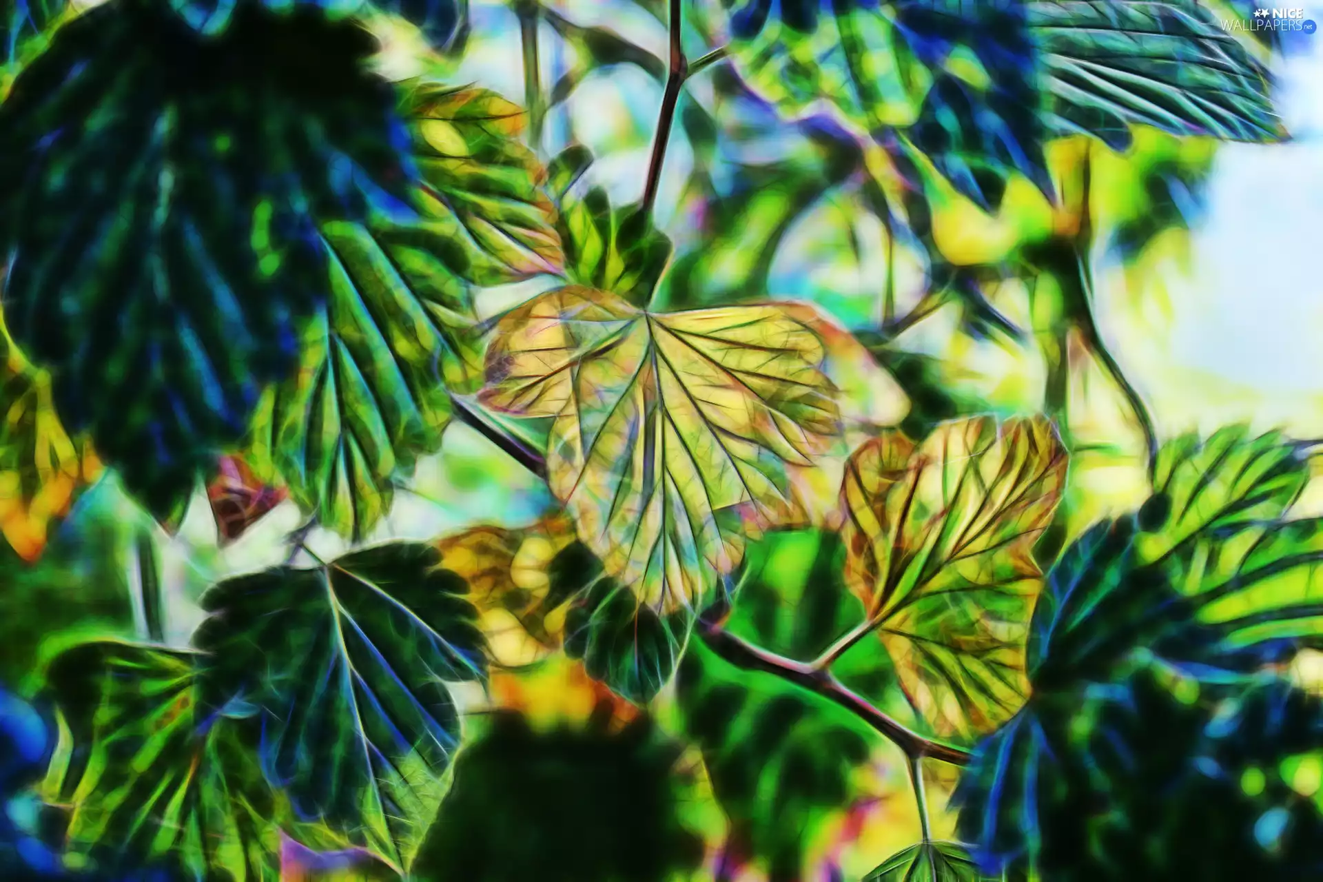green ones, Leaf, Fractalius, Yellow