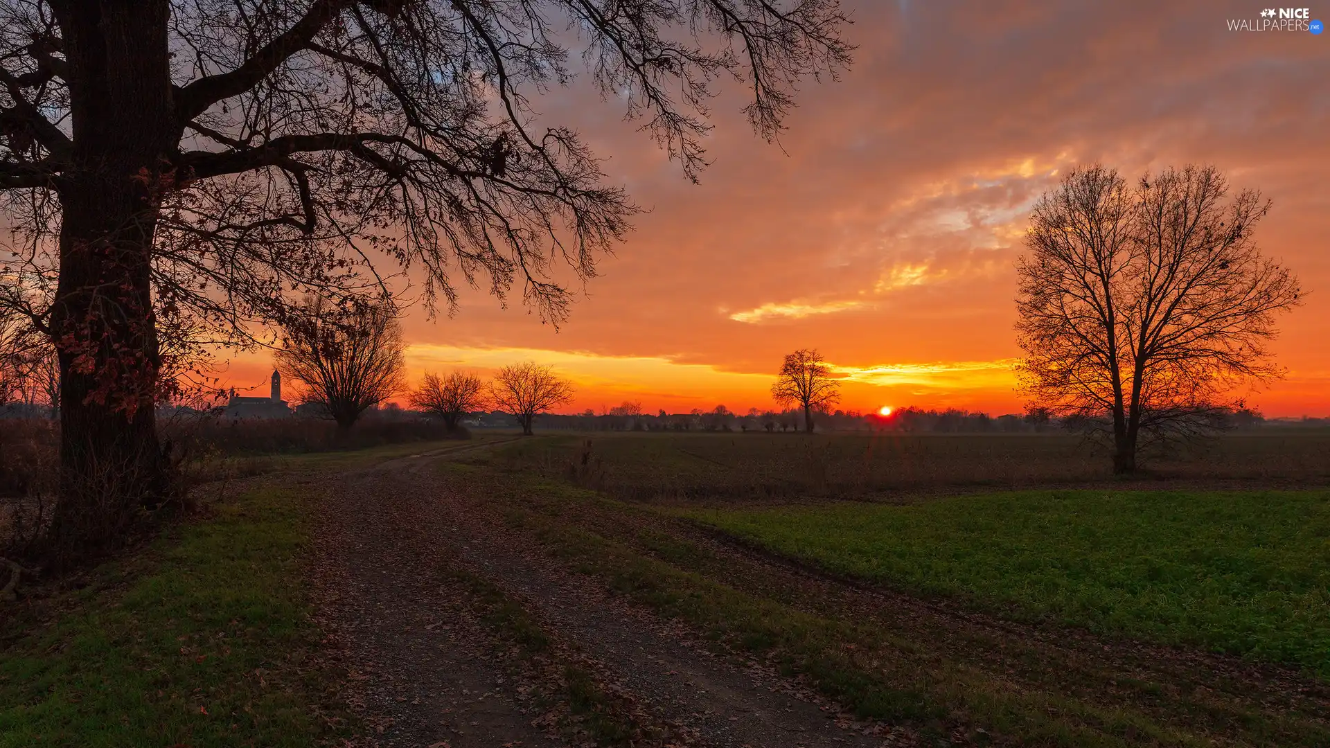 Orange, Great Sunsets, Sky, Field, tower, Church, trees, viewes, Way