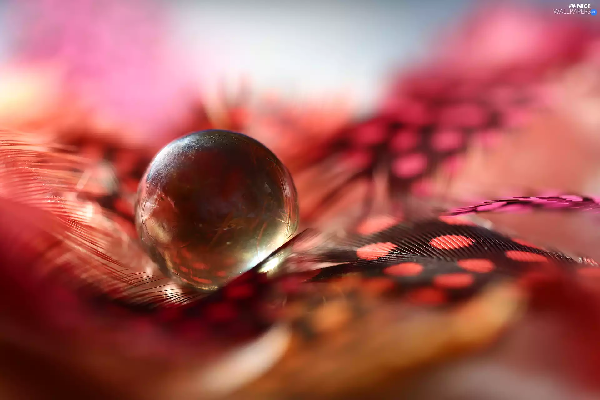 Glass, pen, Close, Orb