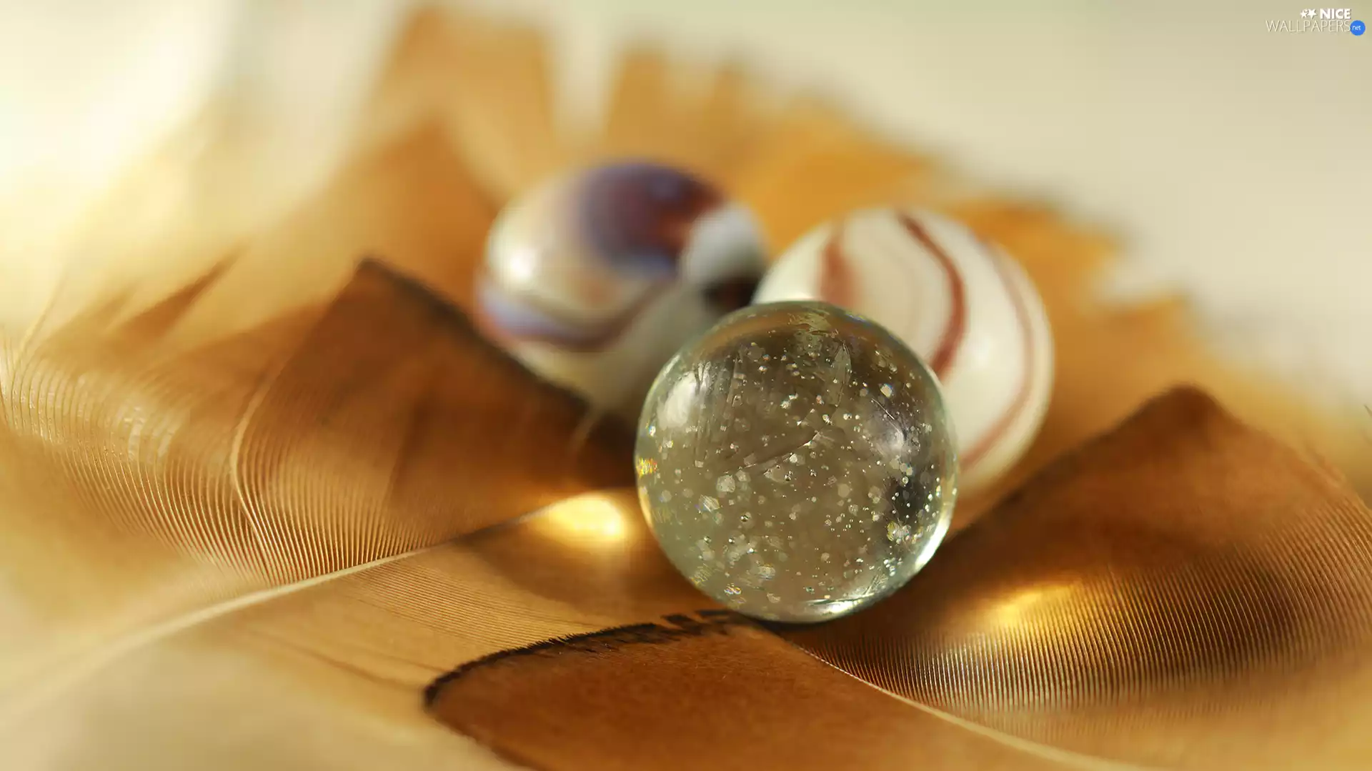 glass, Close, pen, Orbs