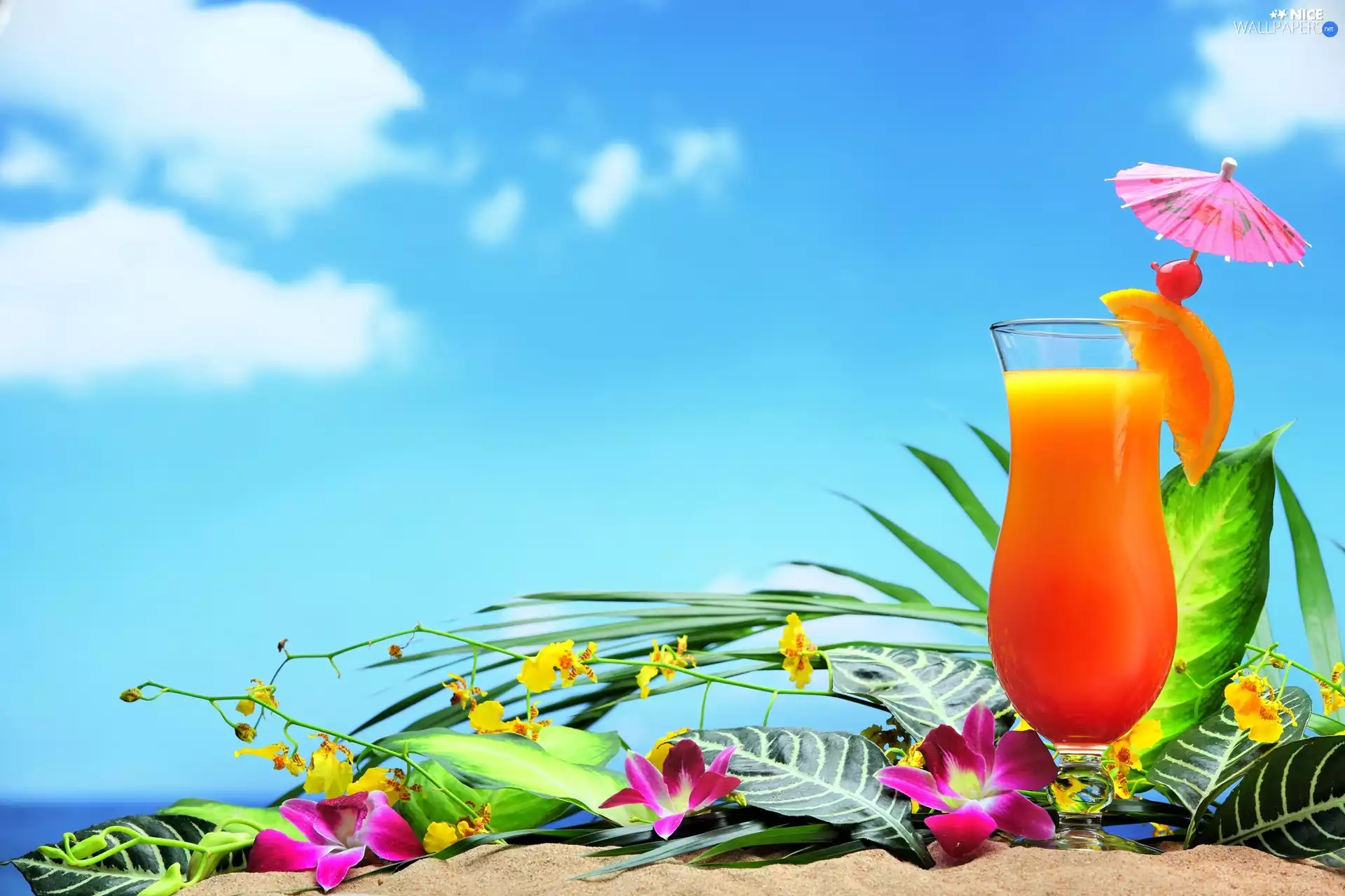 composition, Drink, Flowers, orchids, Orange Juice