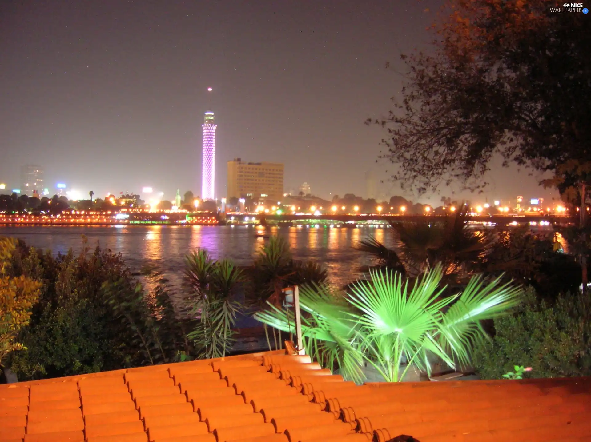 Palm, panorama, Egypt, the roof, Cairo