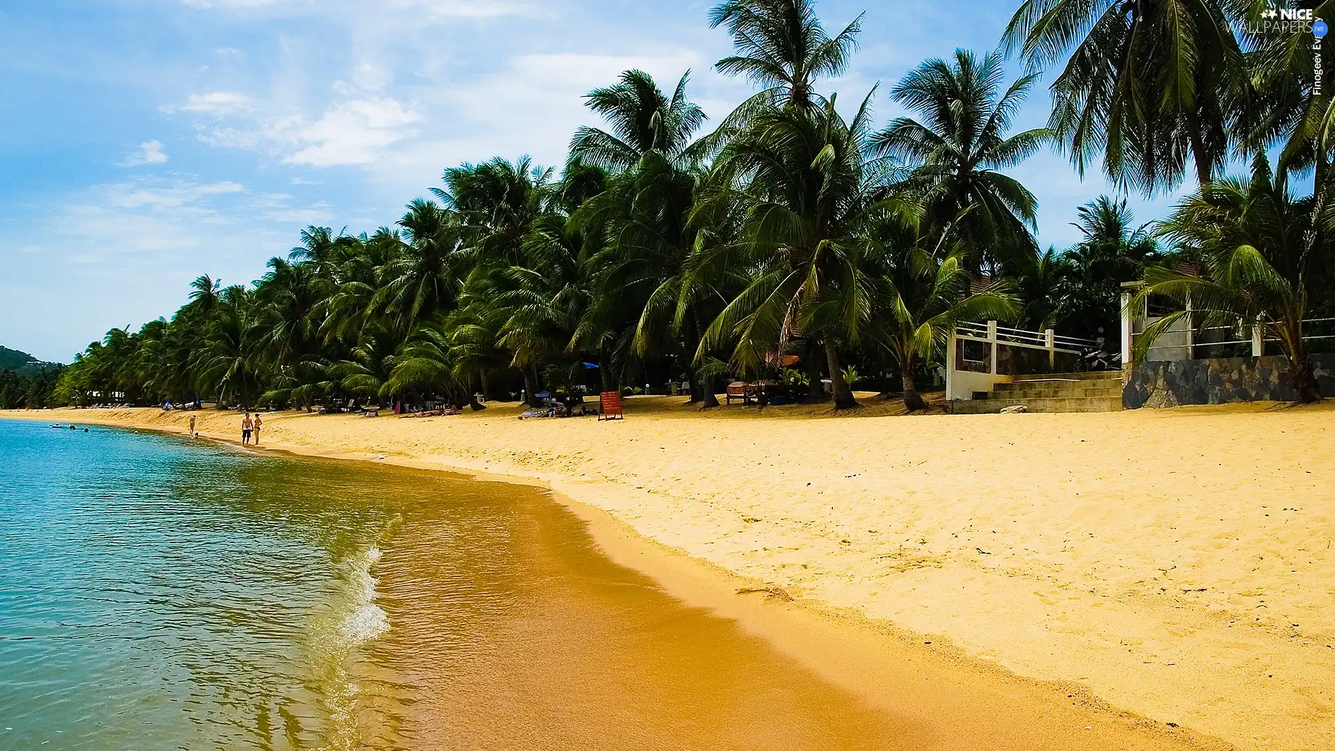 Beaches, Sand, Palms, sea