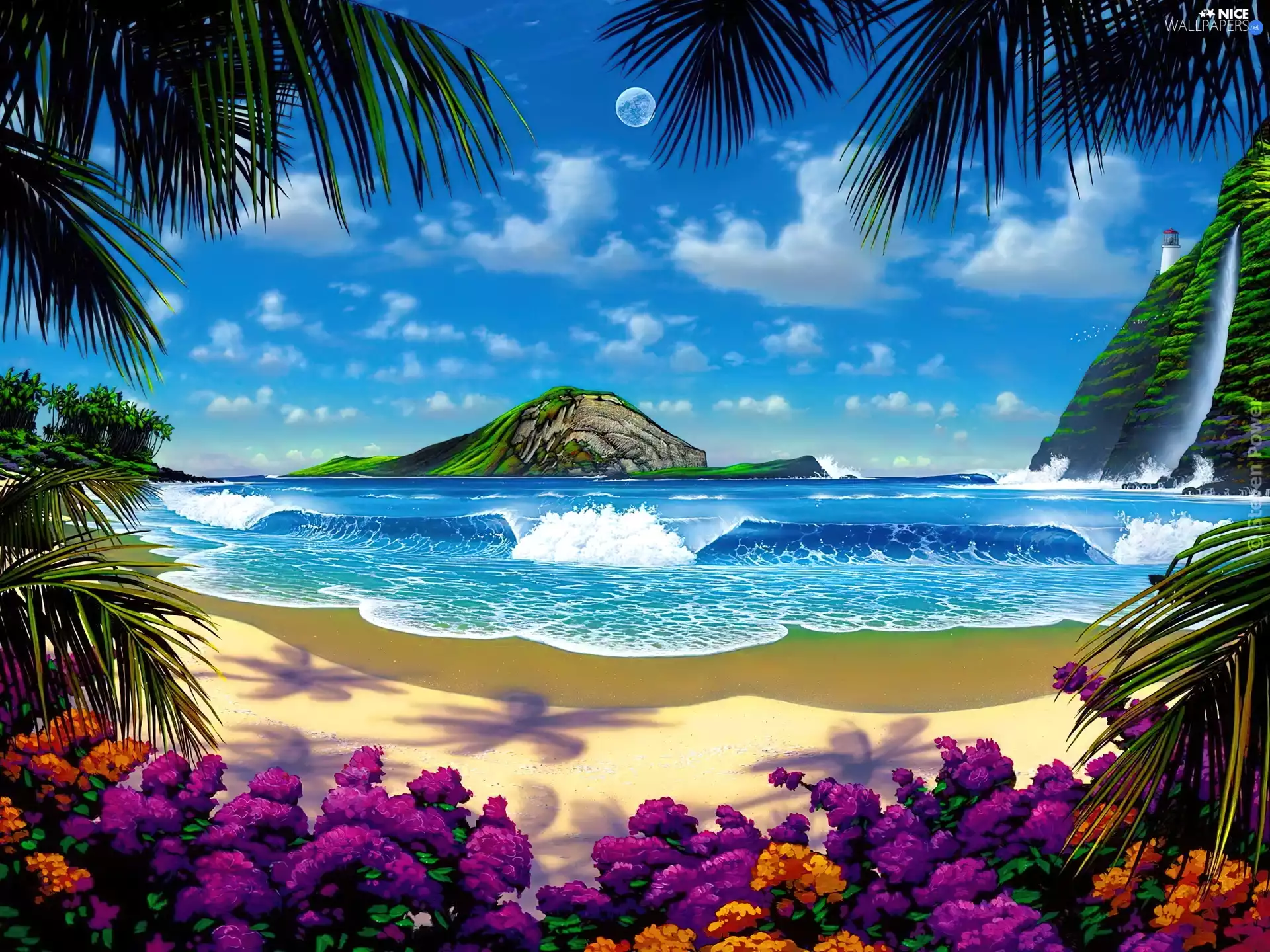 Flowers, Palms, Beaches, rocks, sea