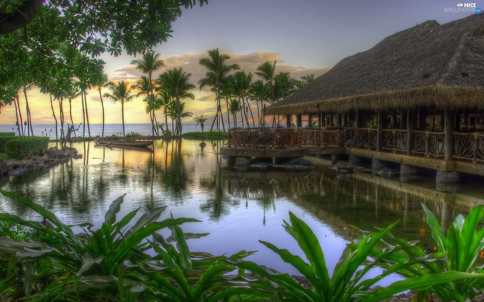 creek, VEGETATION, Palms, cottage