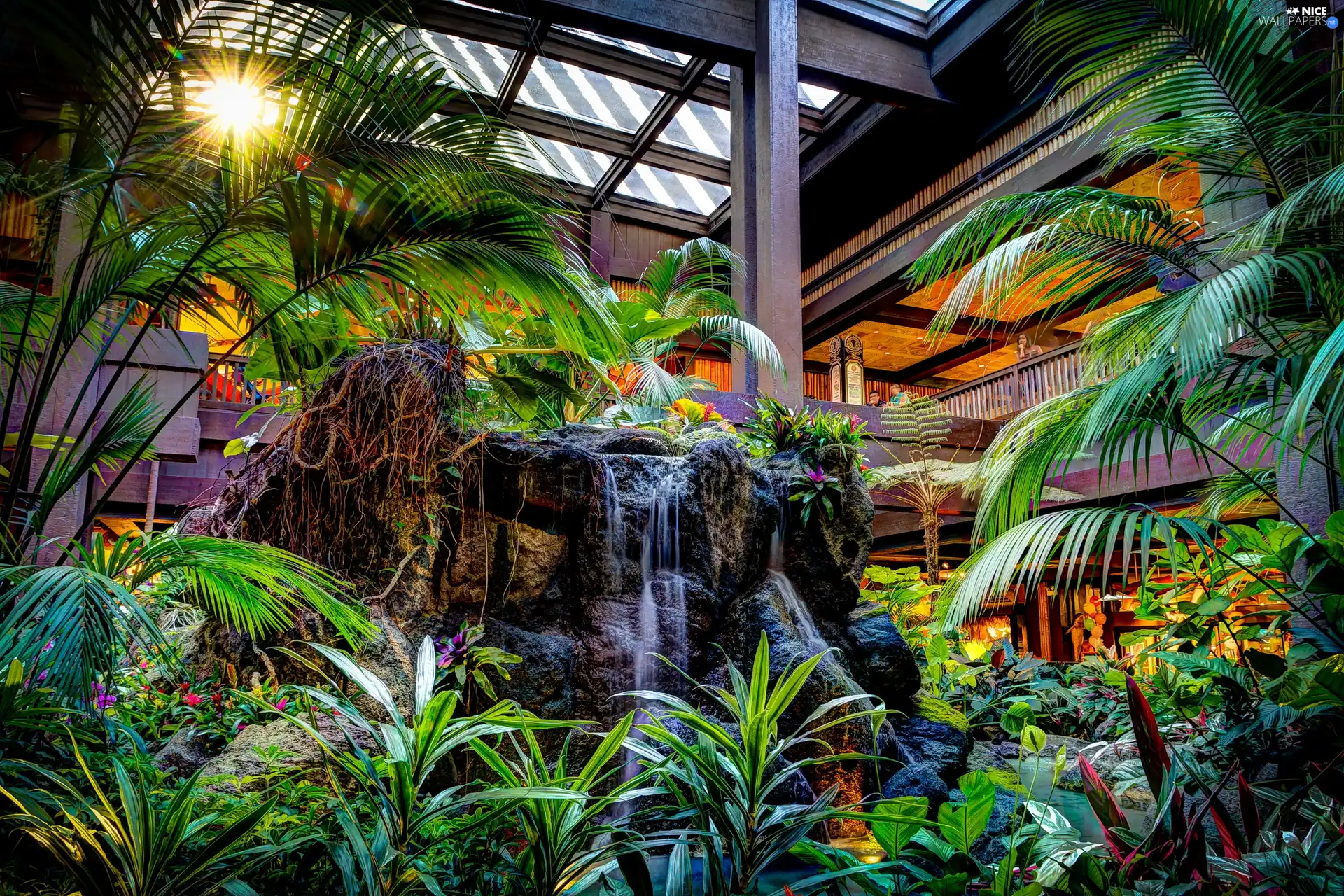 Garden, cascade, Palms, botanical