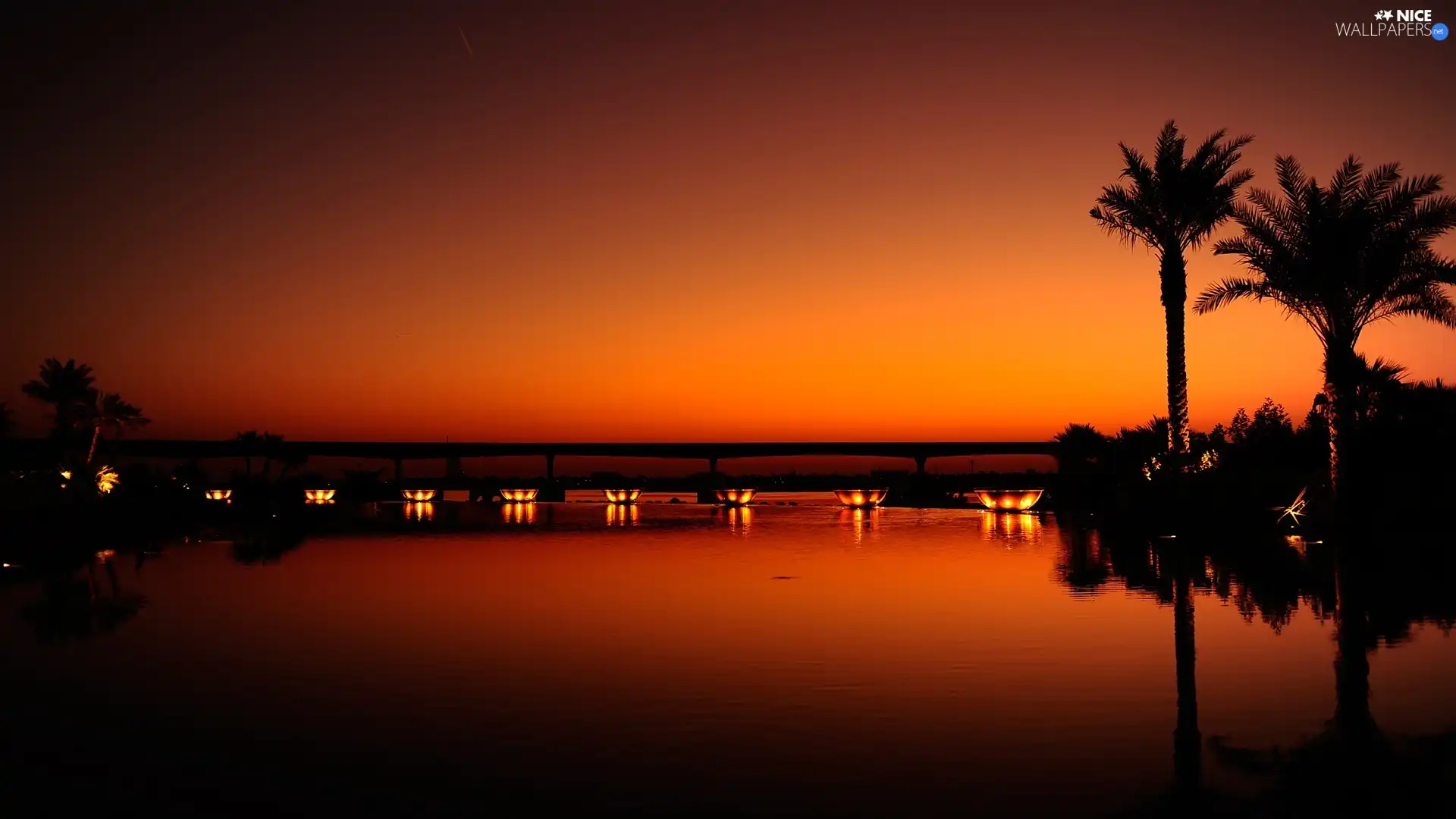 bridge, Great Sunsets, Palms