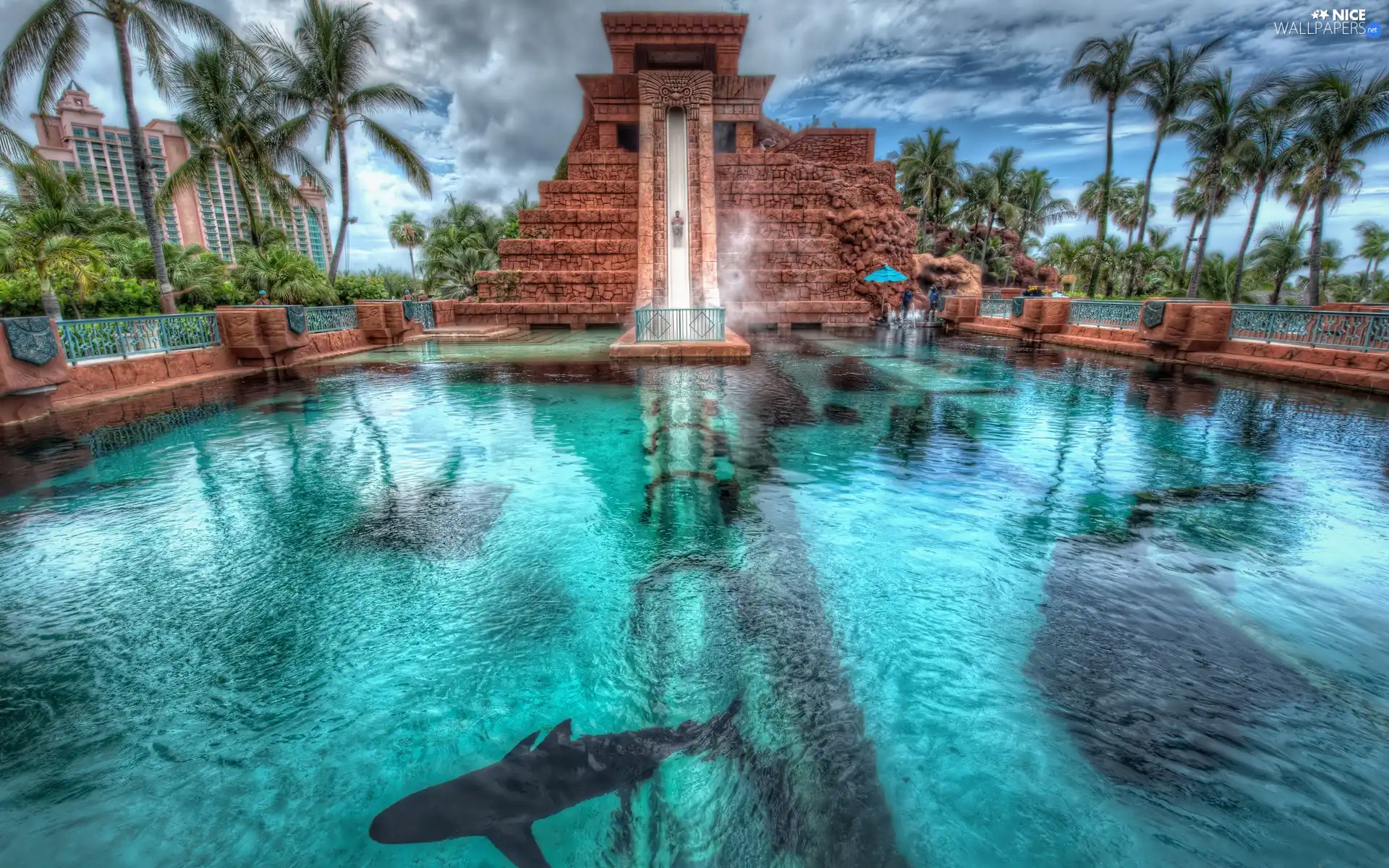 Hotel hall, chute, Palms, water