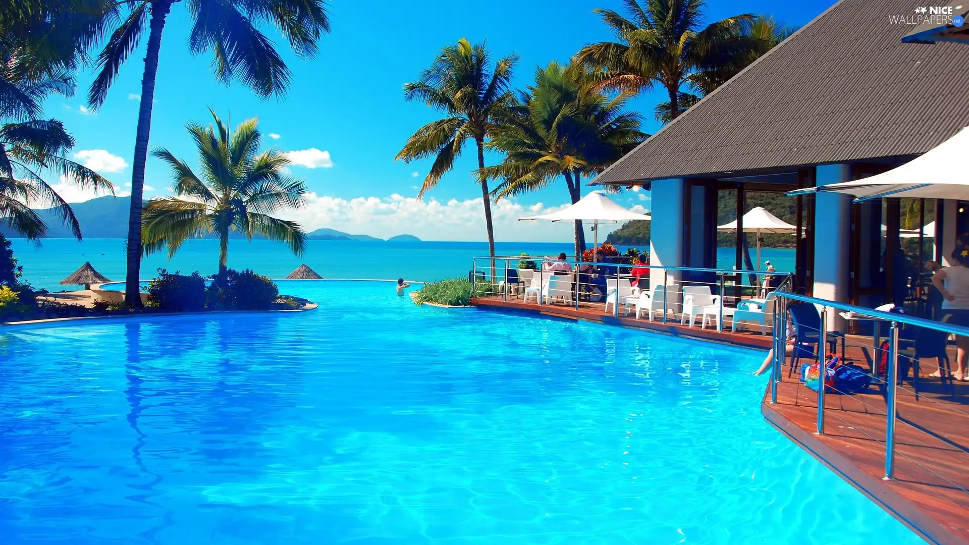 house, sea, Palms, Pool