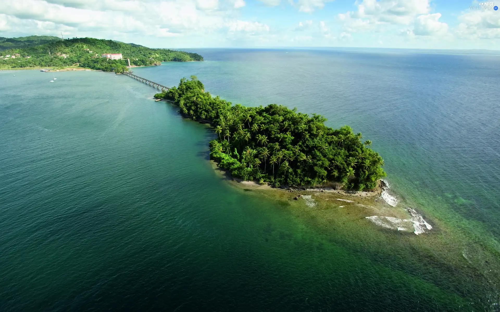 Palms, sea, Island