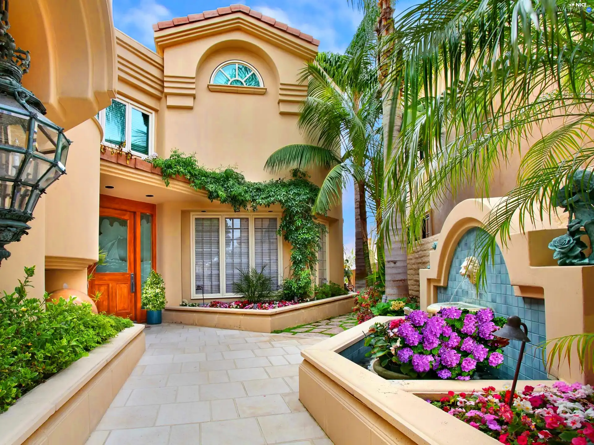 patio, Flowers, Palms, house