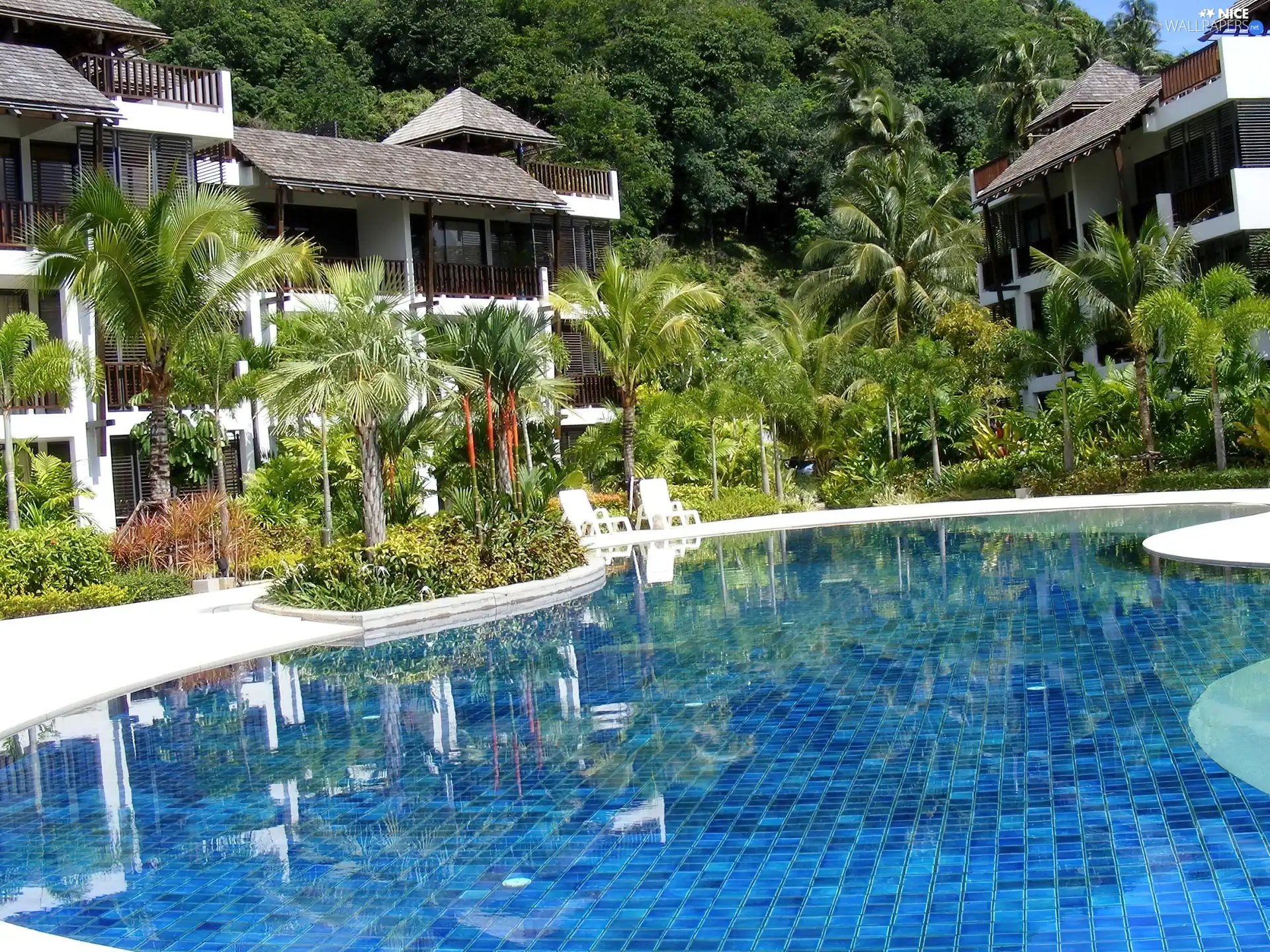 Palms, Houses, Pool