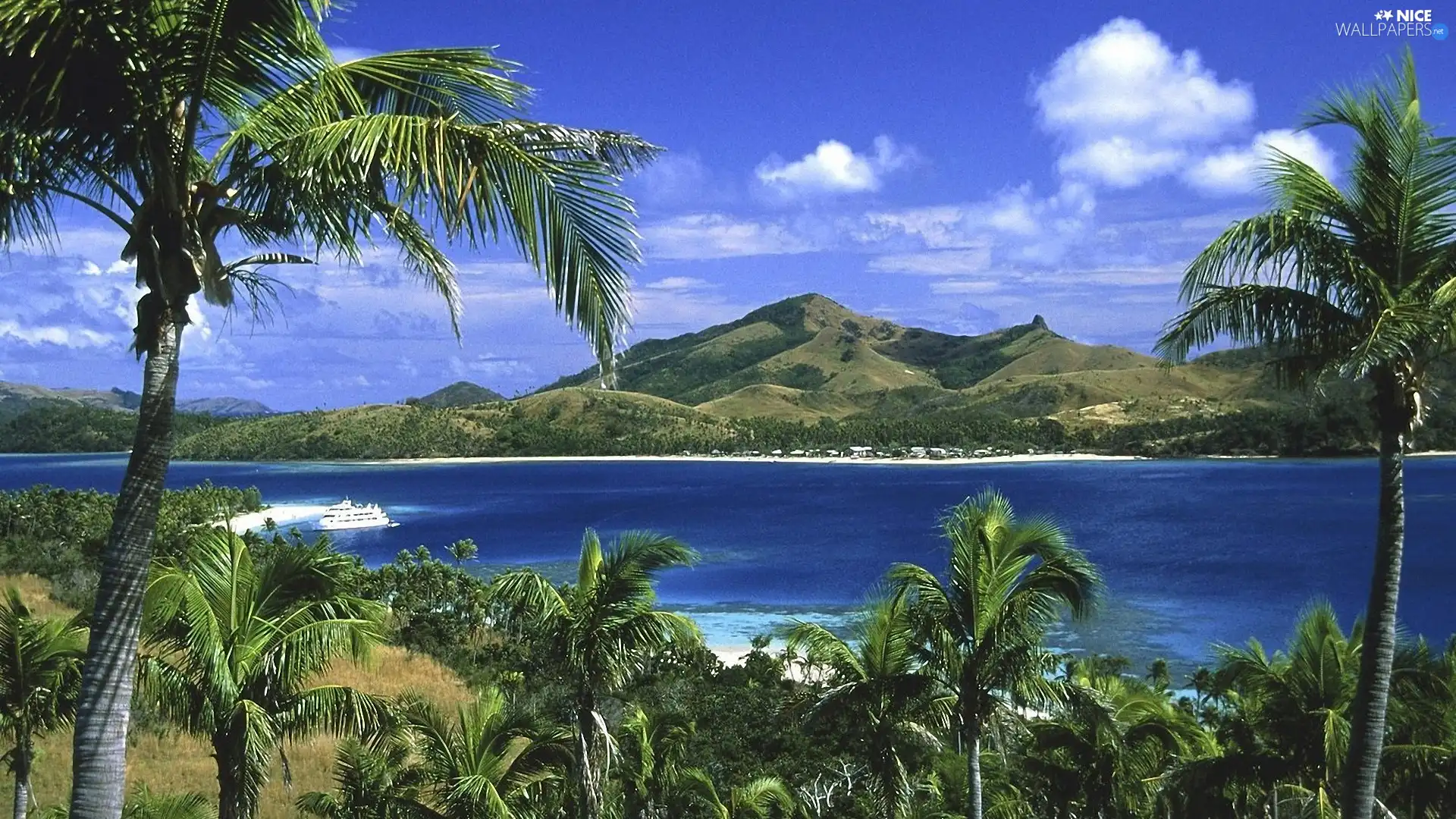 River, Passenger Ships, Palms, Mountains