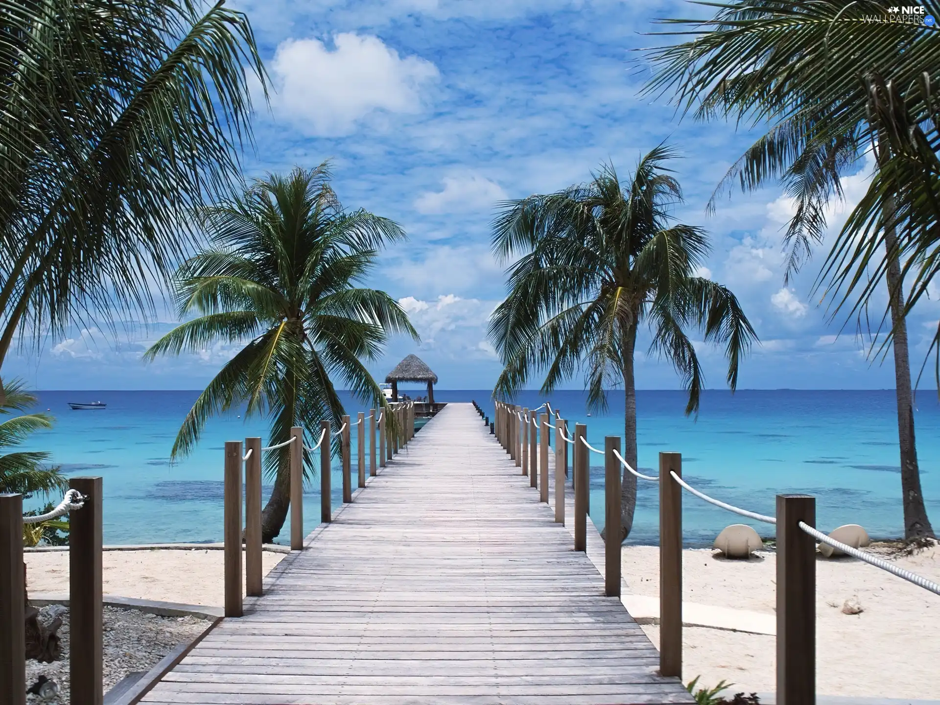 sea, Beaches, Palms, Platform