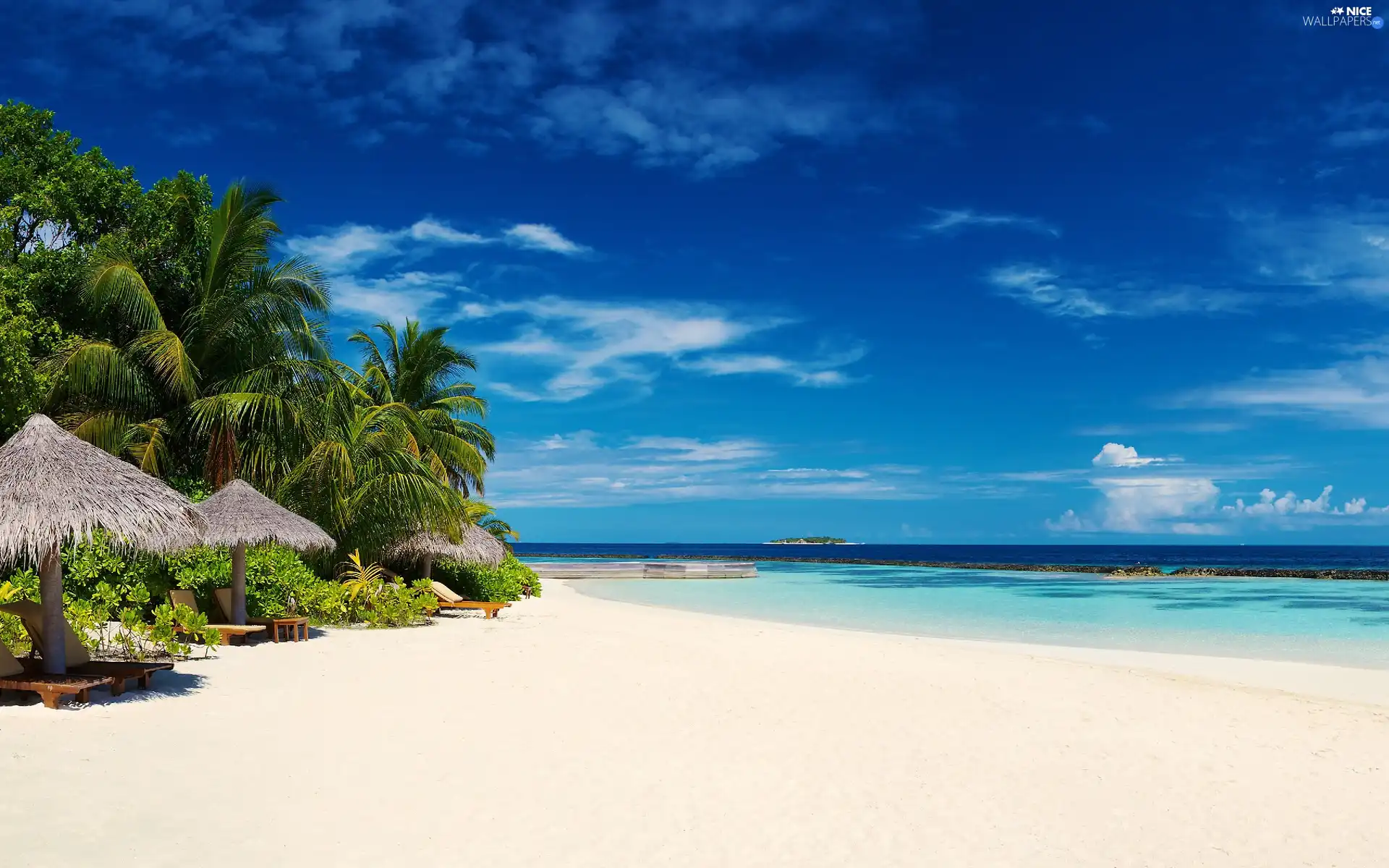 sea, Beaches, Palms, Sky