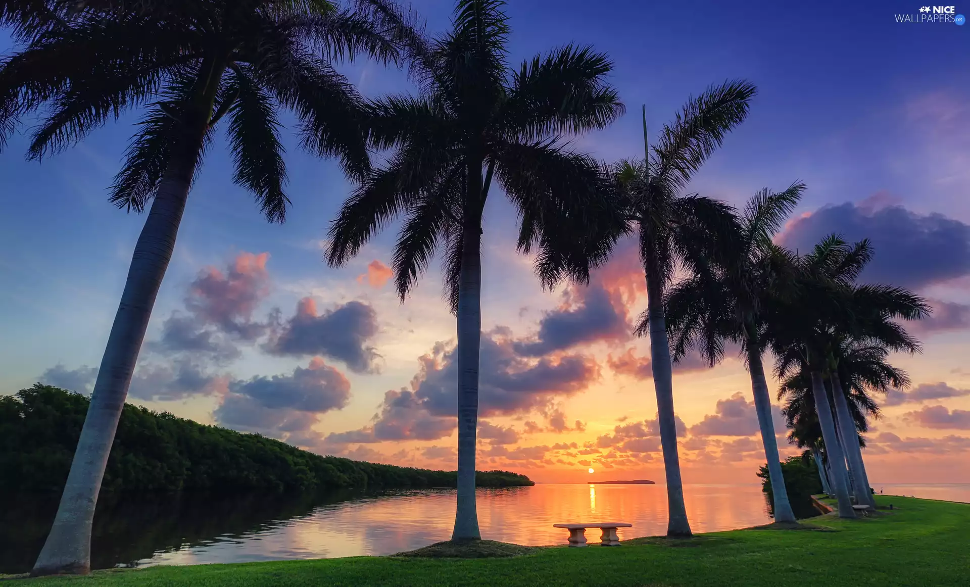 Great Sunsets, clouds, Palms, bench, sea