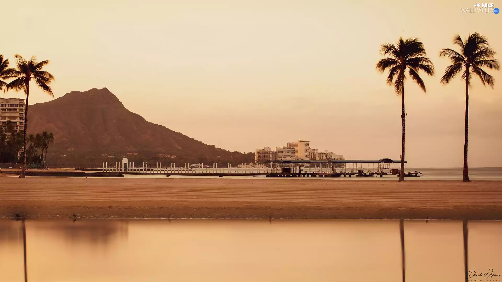 Waikiki, Beaches, Hill, Aloha State Hawaje, Houses, sea, Palms, The United States, Honolulu, reflection