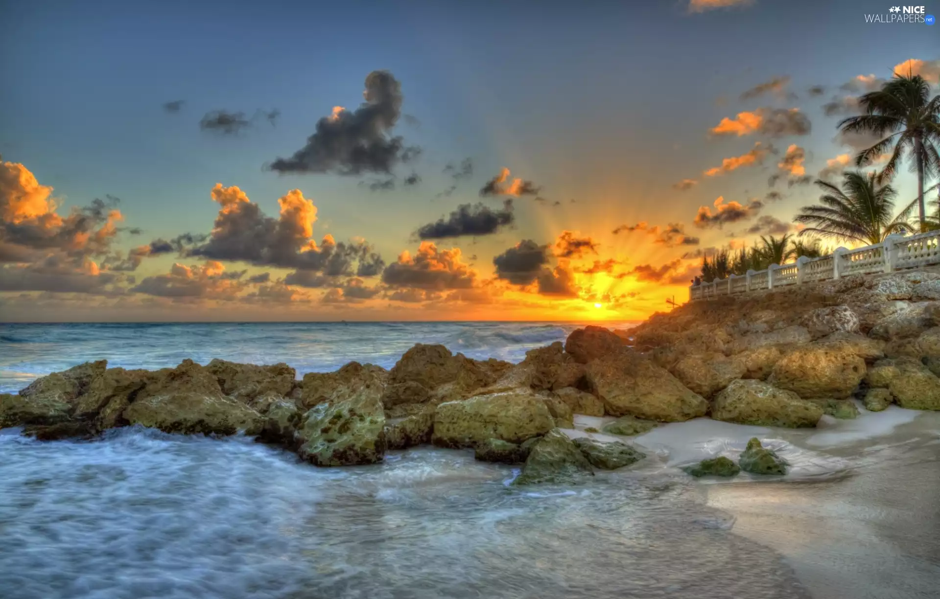 Stones, Palms, sun, sea, west