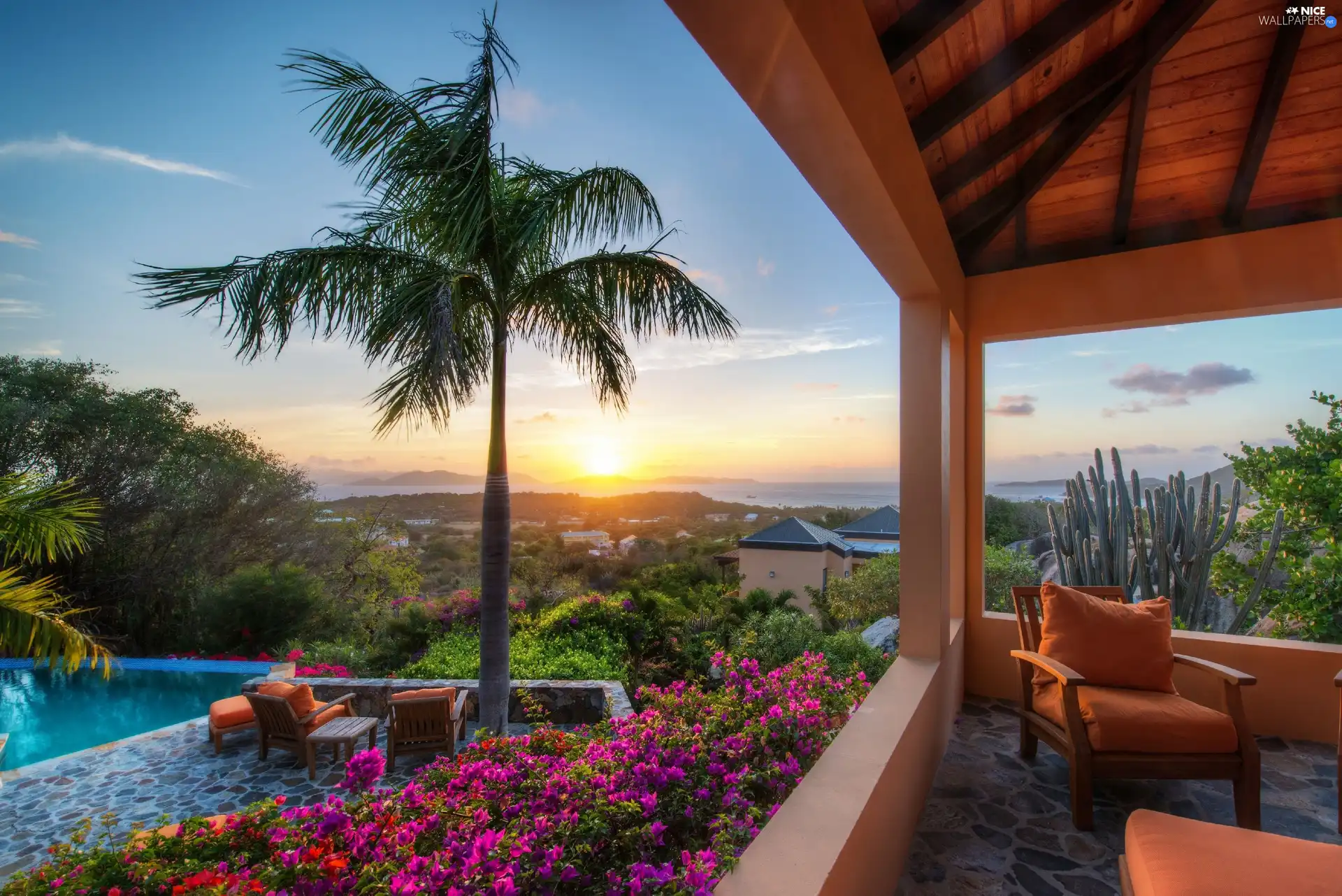 terrace, Flowers, Palms, Pool