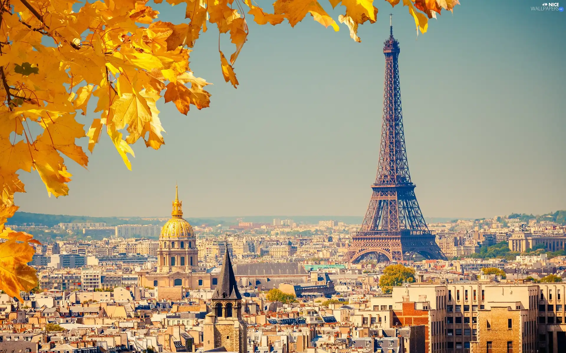 panorama, autumn, Eiffla, Paris, tower