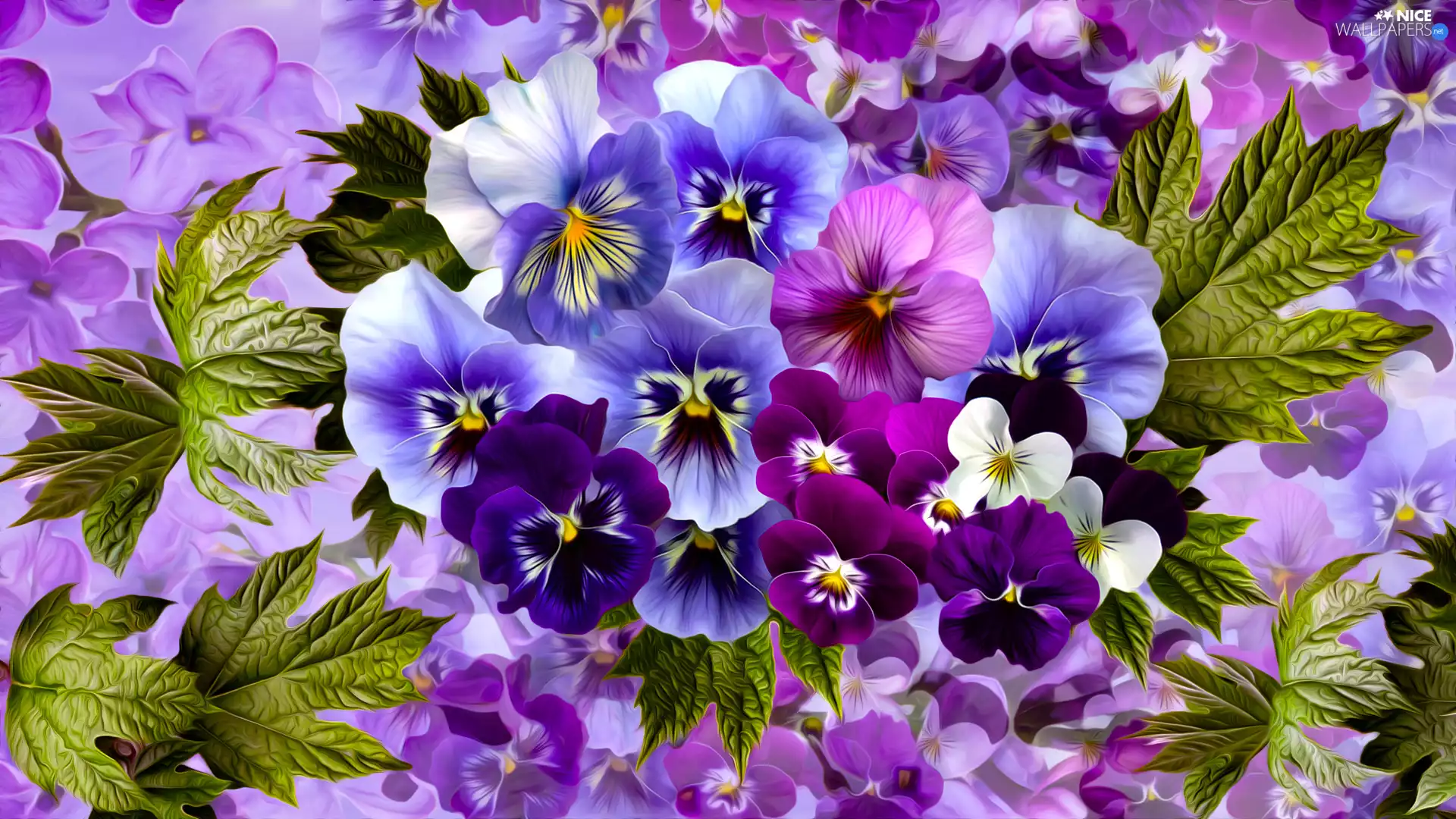 Flowers, Leaf, graphics, pansies
