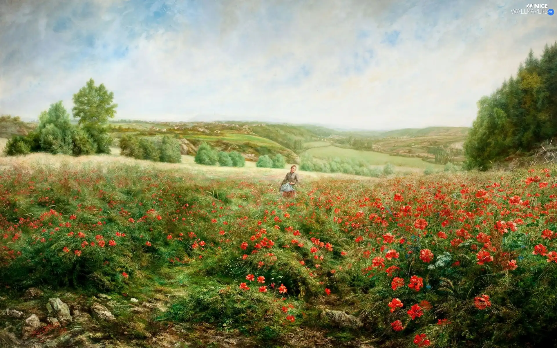 papavers, Meadow, Women