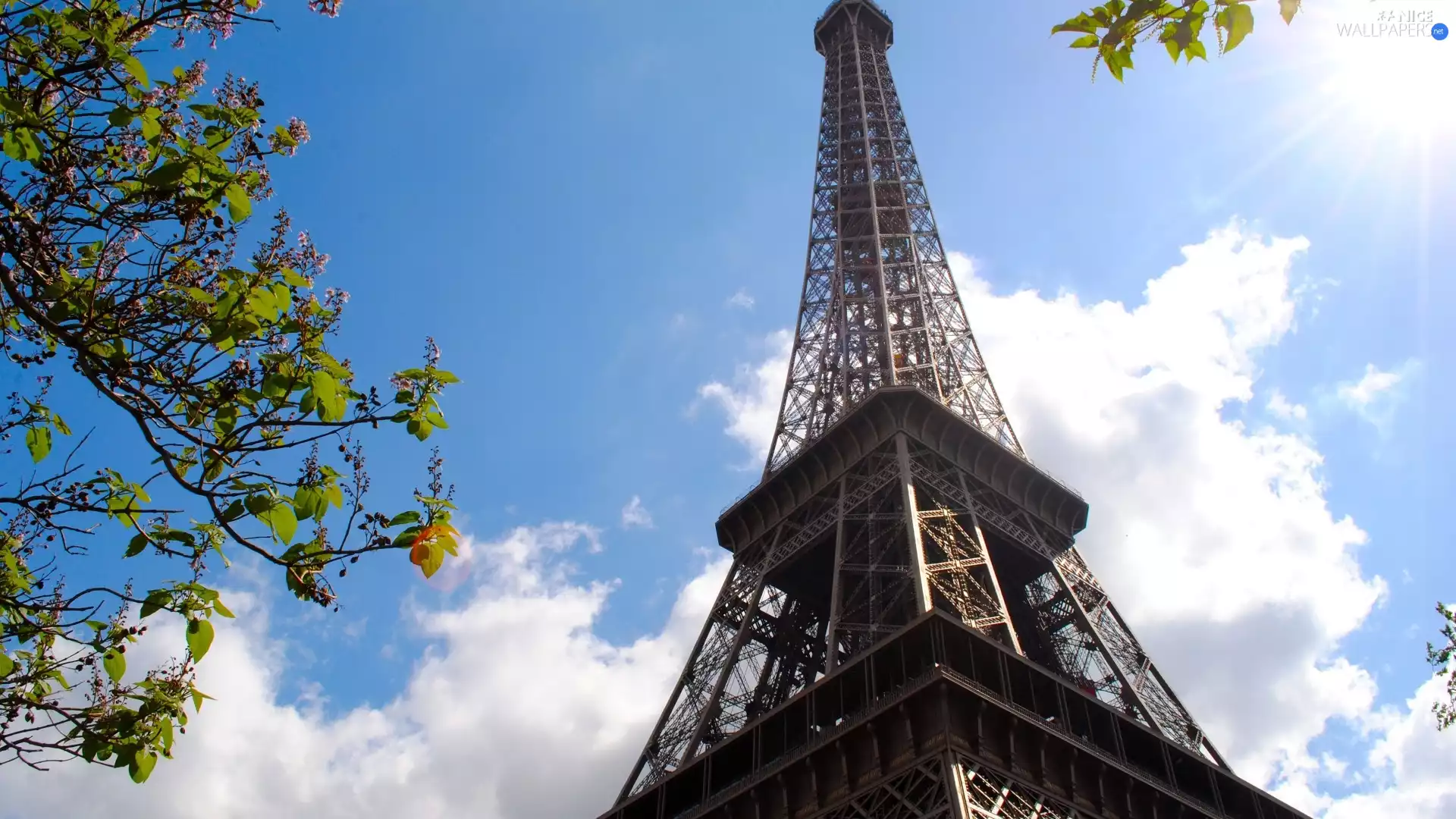 France, Eiffla Tower, Paris