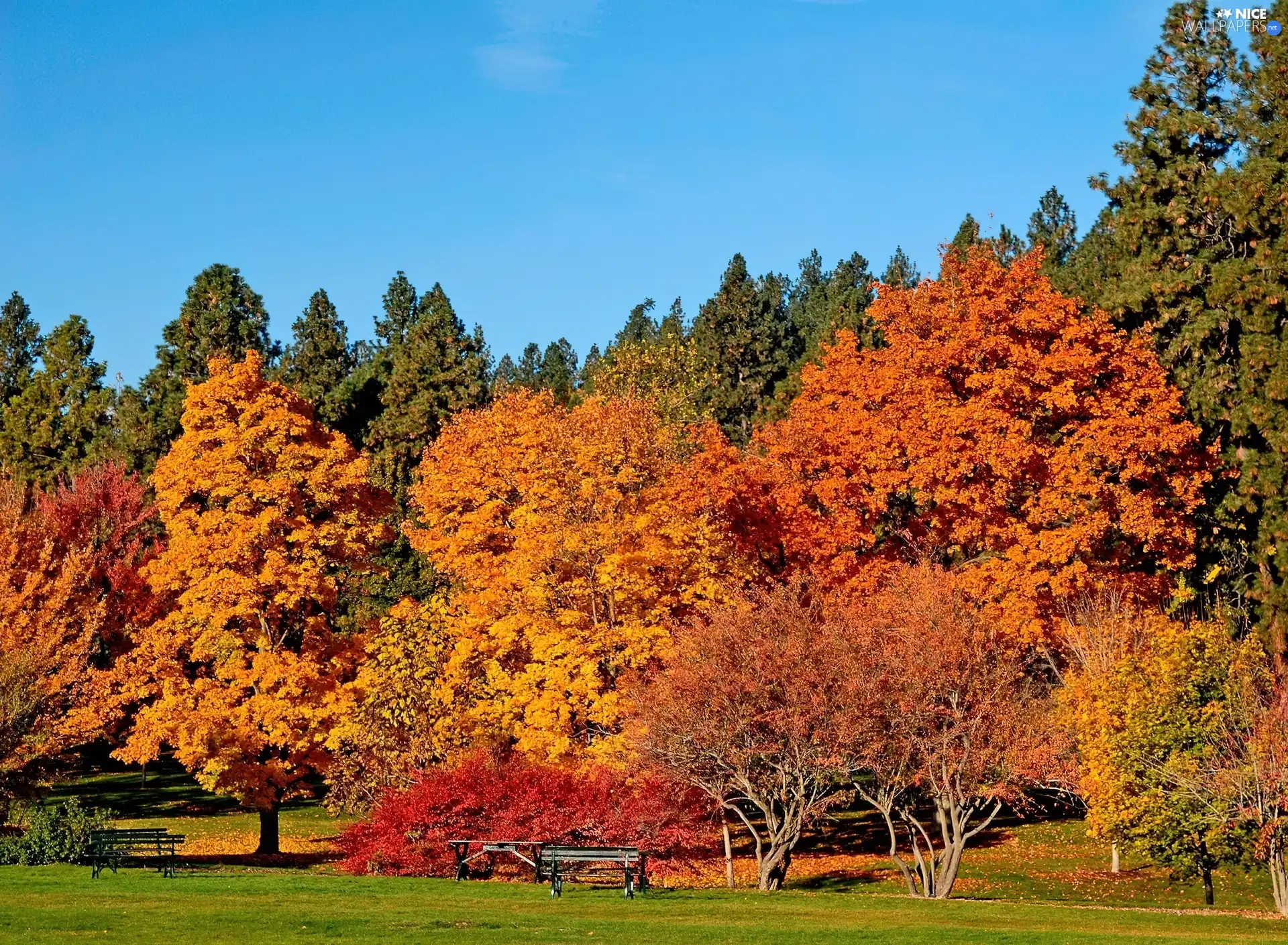 autumn, Park