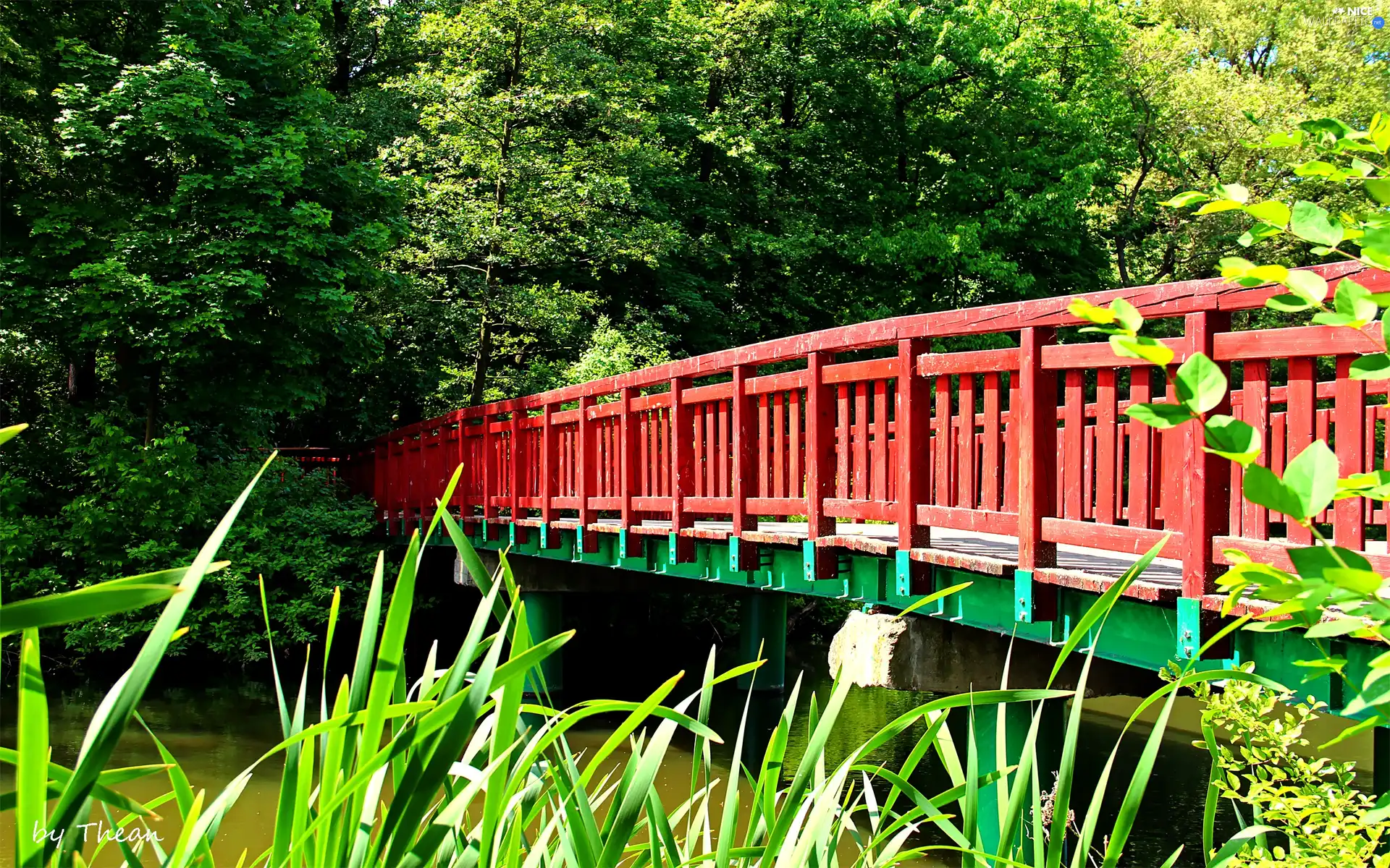 bridge, Park