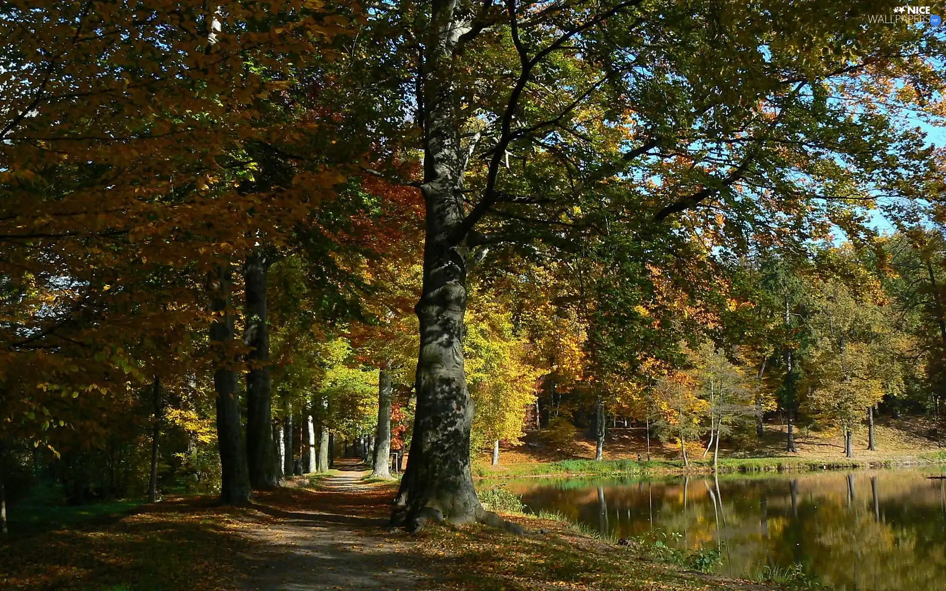 Pond - car, autumn, Park