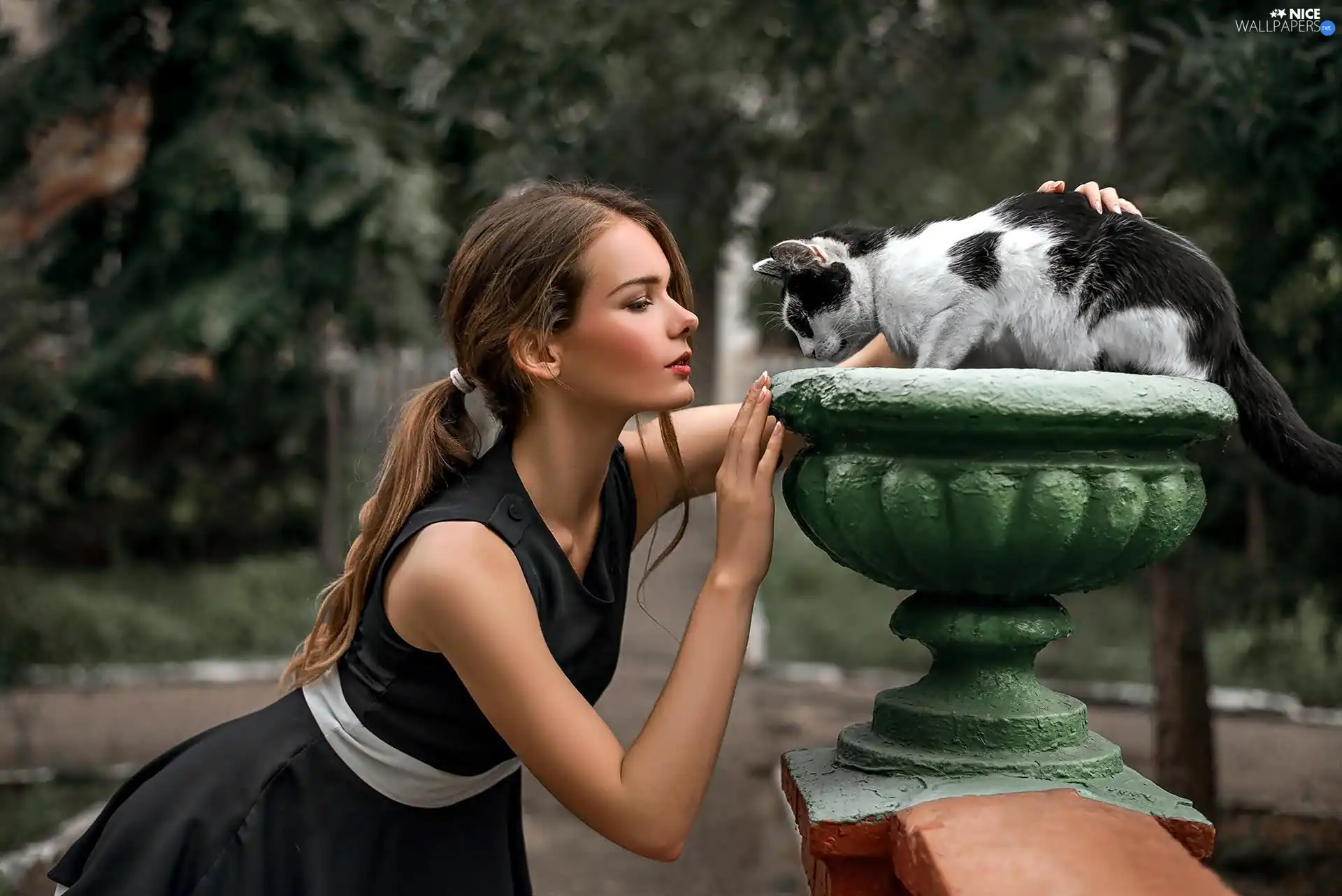 Park, Women, cat