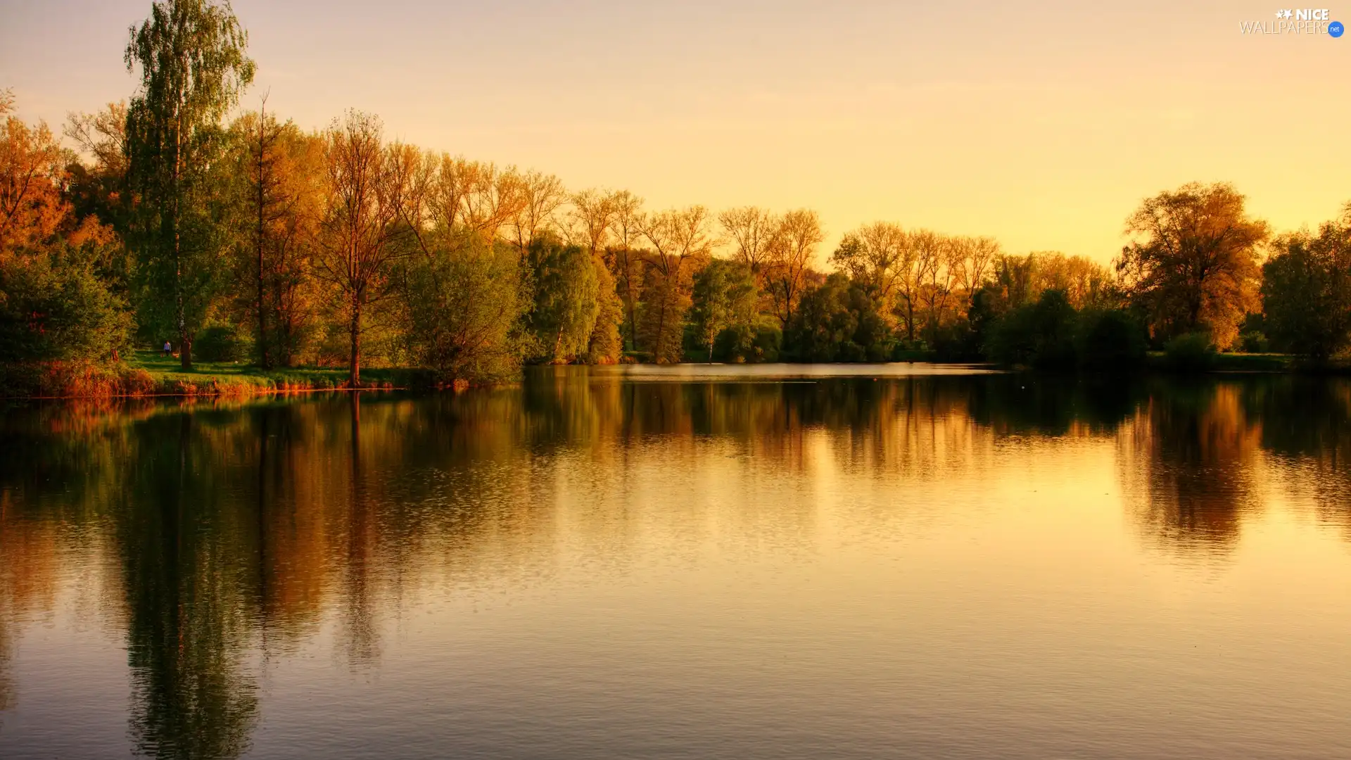 lake, viewes, Park, trees