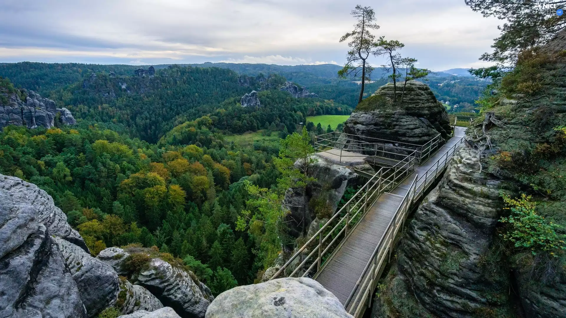 trees, Děčínská vrchovina, viewes, rocks, Saxon Switzerland National Park, Germany, Observation Deck, Platform, forest