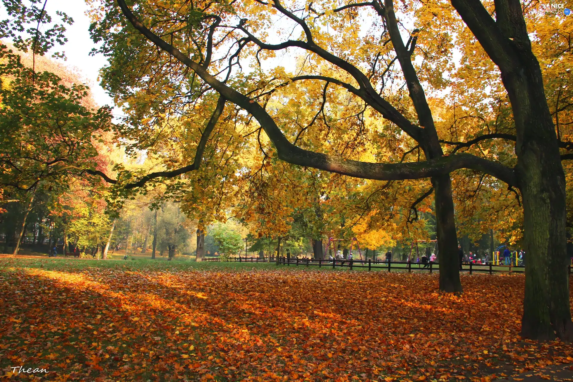 square, autumn, Park, playground