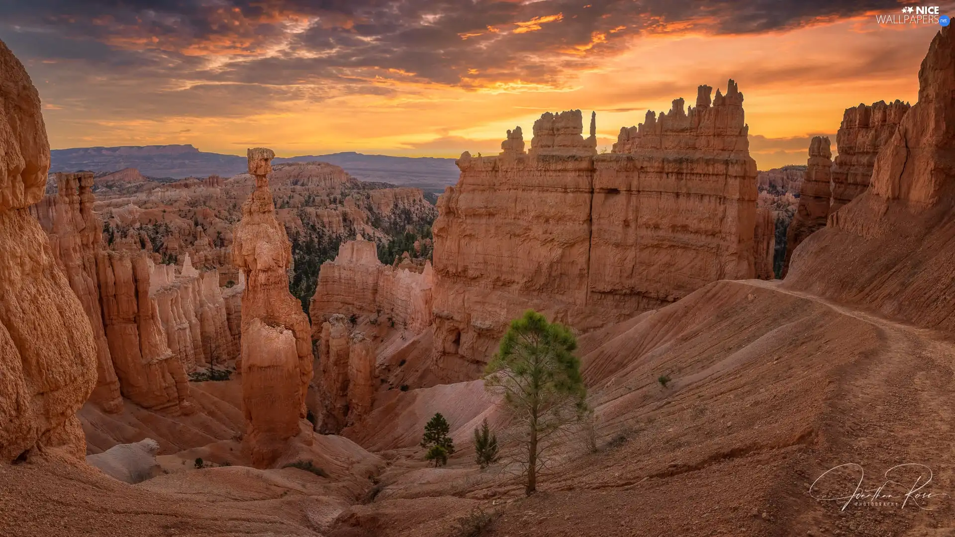 rocks, Utah State, Great Sunsets, Bryce Canyon National Park, The United States, VEGETATION, clouds