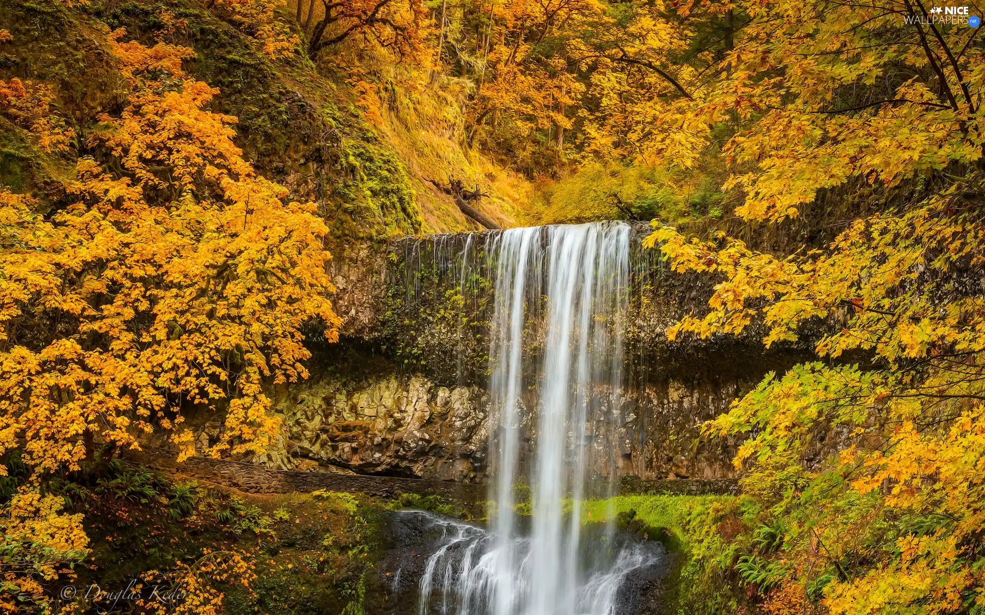 Silver Falls State Park, trees, waterfall, viewes, VEGETATION, Oregon, The United States, autumn