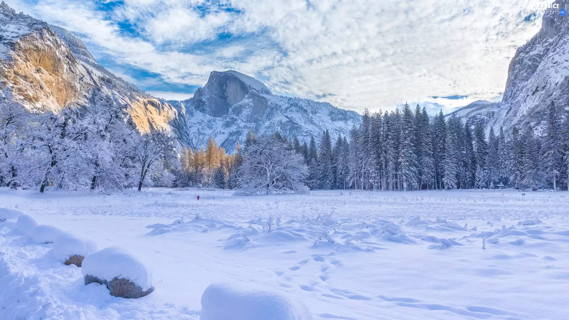 trees, viewes, The United States, Mountains, California, Yosemite National Park, winter, clouds