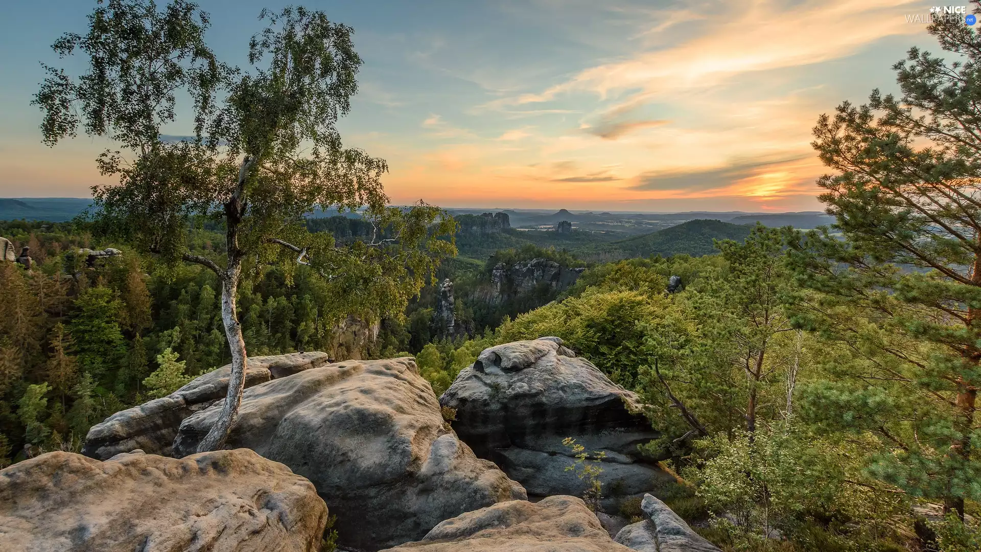 rocks, trees, Germany, birch-tree, Saxon Switzerland National Park, Děčínská vrchovina, Great Sunsets, scrub