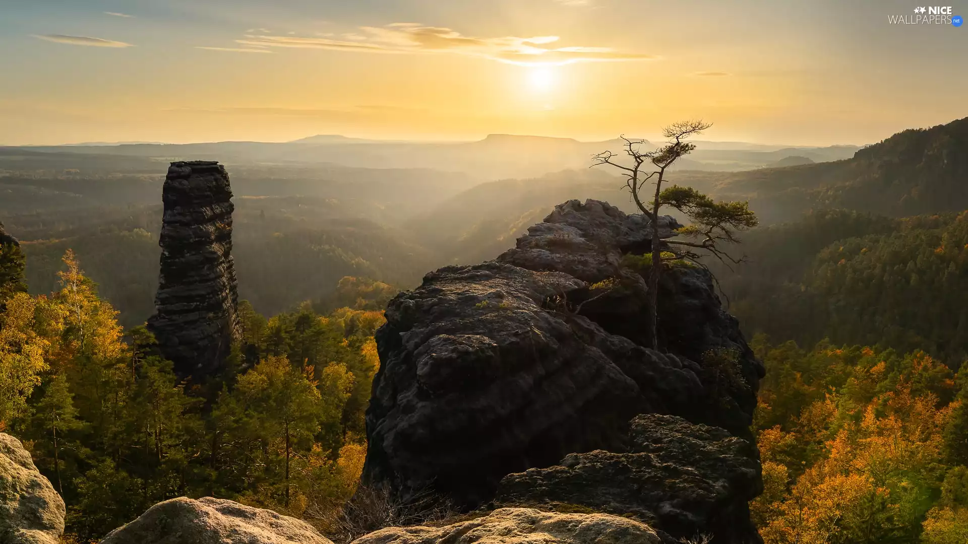 Děčínská vrchovina, trees, Sunrise, viewes, Fog, Saxon Switzerland National Park, Germany, rocks