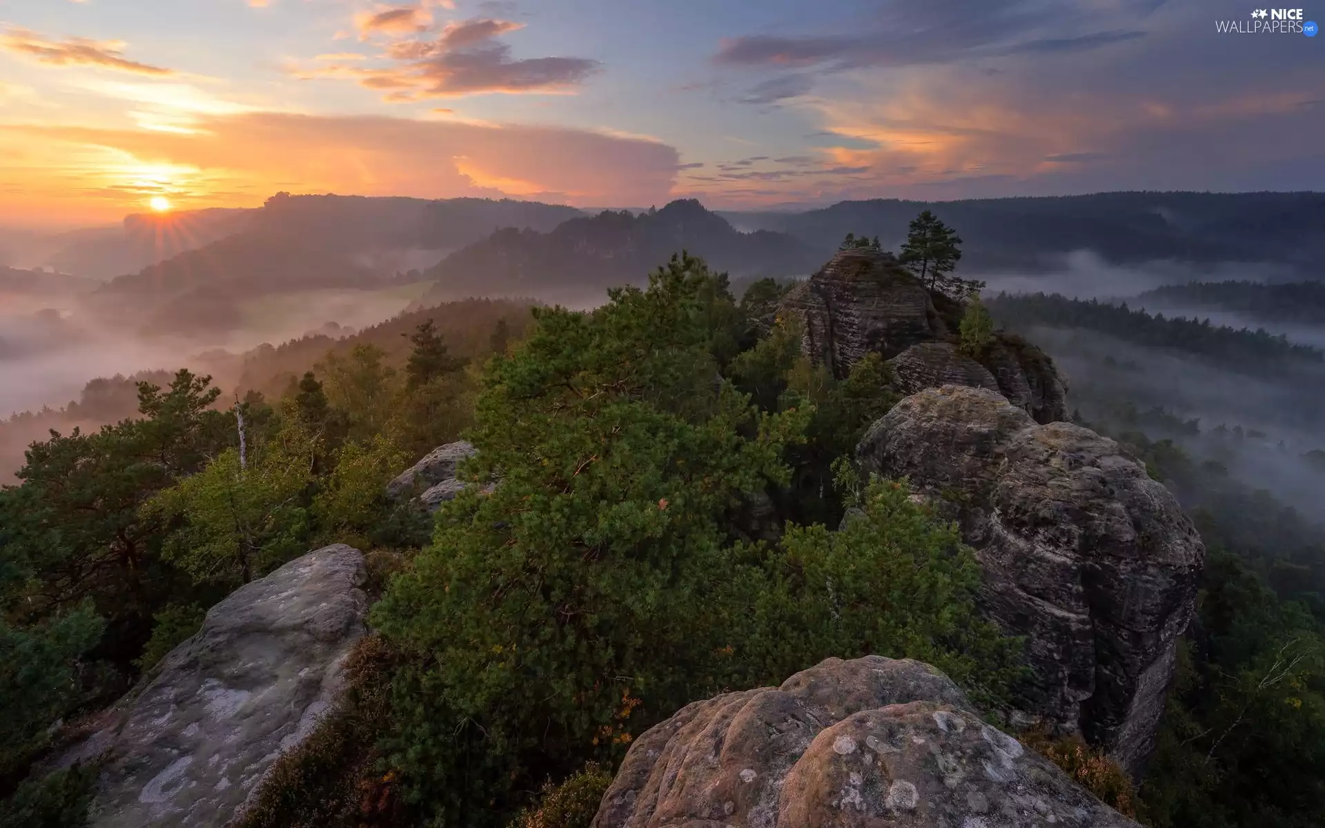 Saxon Switzerland National Park, Germany, Děčínská vrchovina, Sunrise, trees, viewes, clouds, rocks, Fog