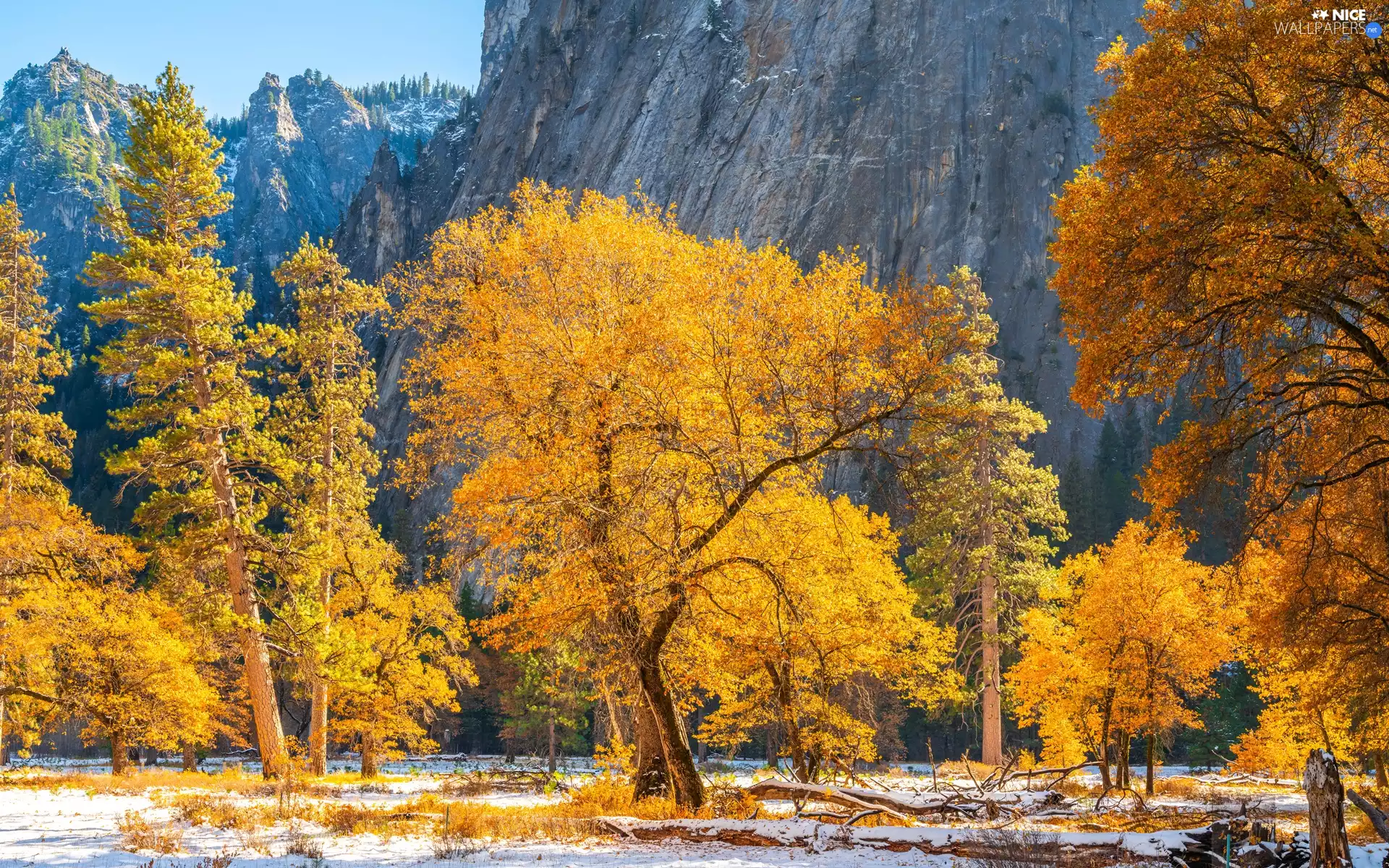 trees, Yosemite National Park, State of California, Mountains, autumn, viewes, The United States