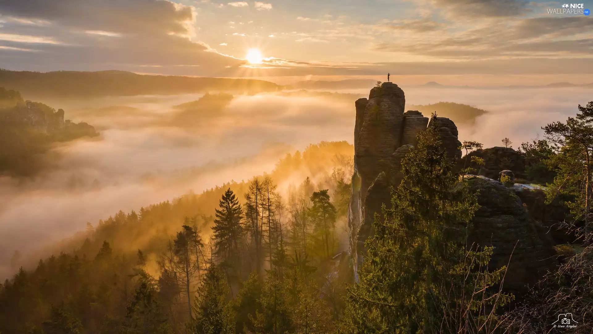 Sunrise, rocks, viewes, Děčínská vrchovina, trees, Saxon Switzerland National Park, Germany, Fog