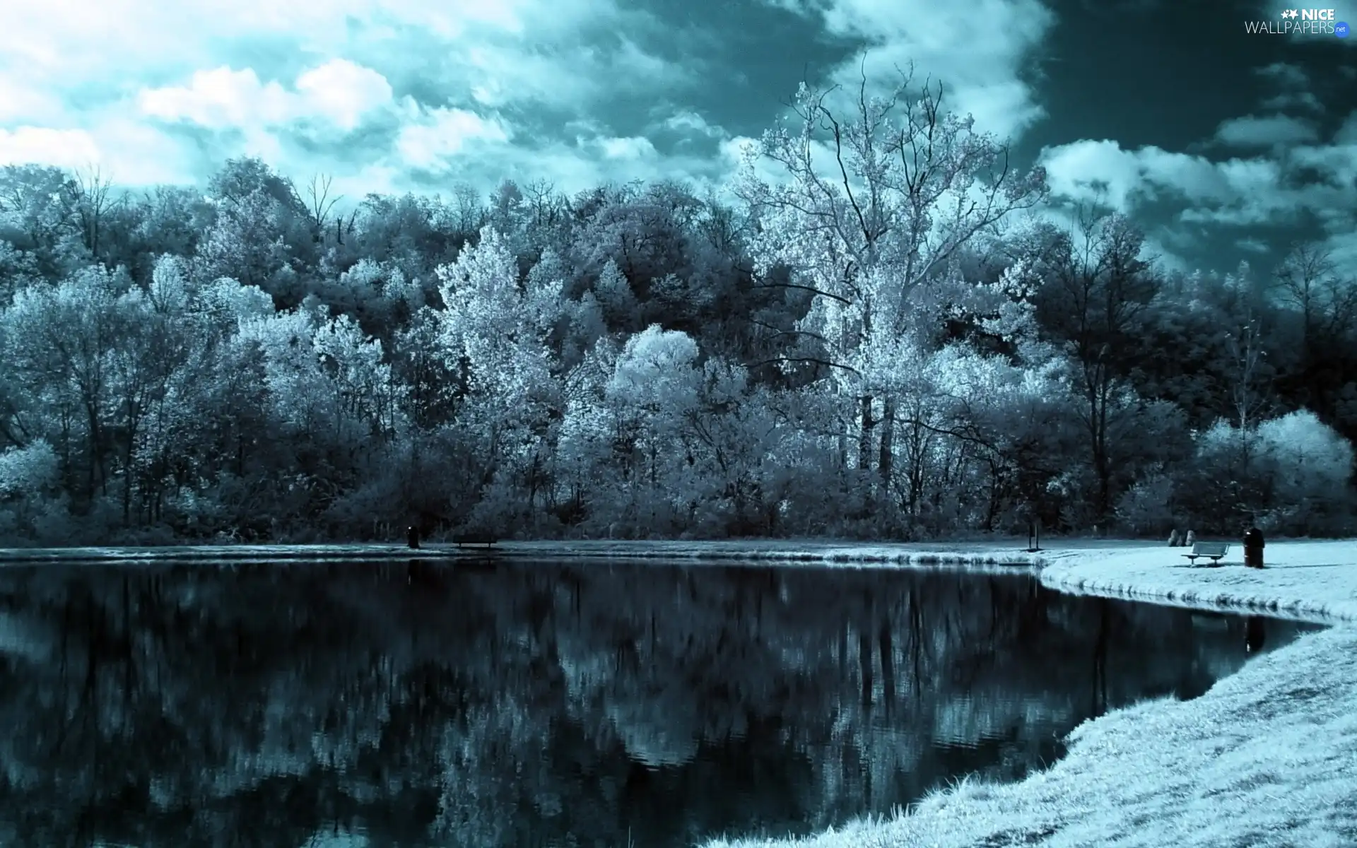 Park, winter, trees, viewes, lake