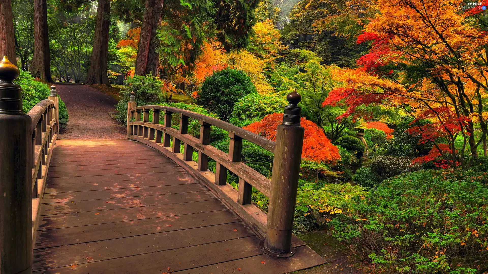 bridges, autumn, viewes, Park, trees, wooden