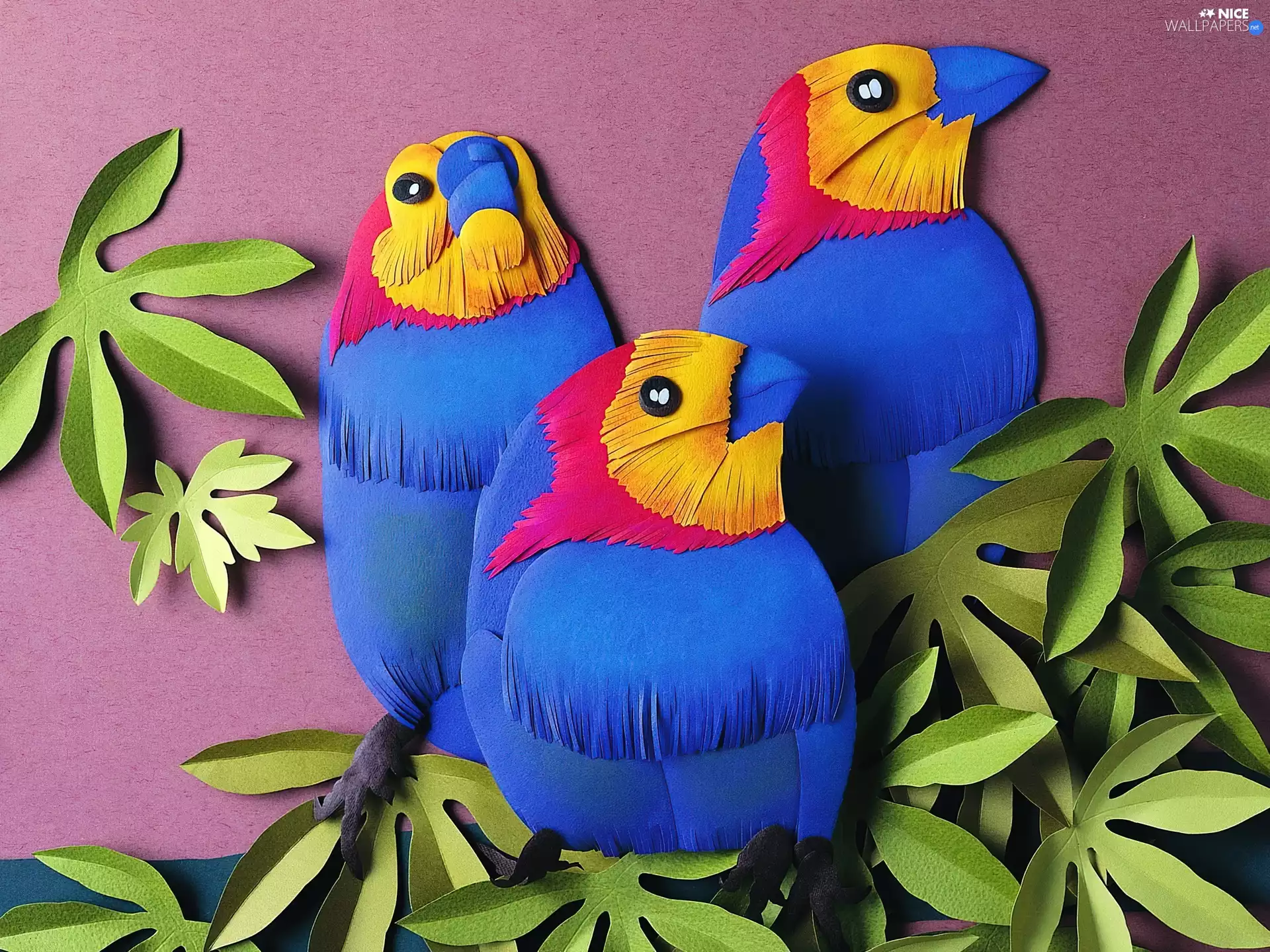 Three, Leaf, Cutouts, Parrots