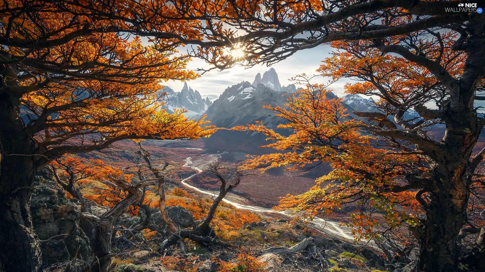 autumn, Argentina, Fitz Roy Mountain, Mountains, trees, rays of the Sun, River Rio de las Vueltas, Los Glaciares National Park, Patagonia, viewes, branch pics