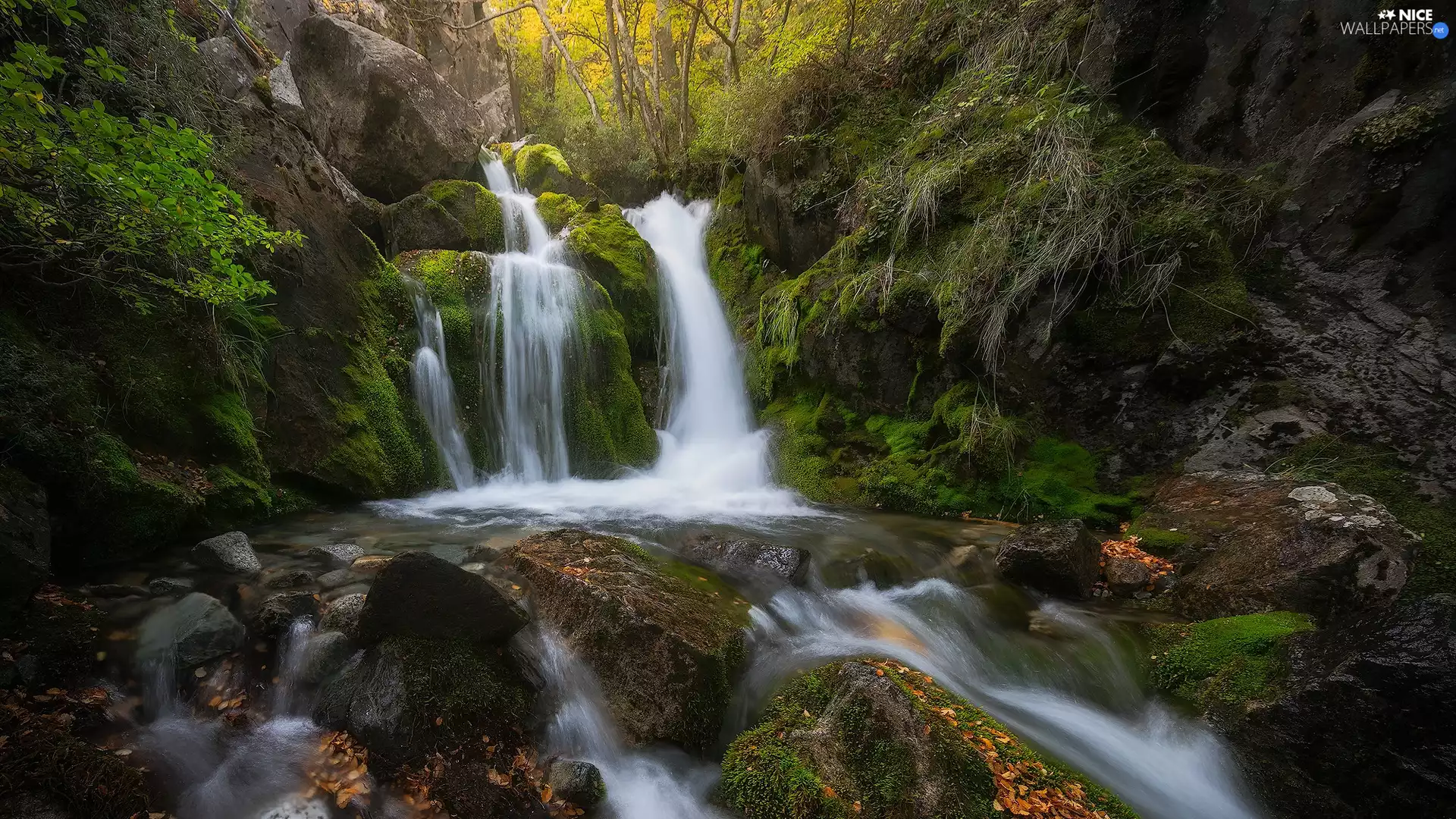 Stones, forest, waterfall, Patagonia, VEGETATION, Los Glaciares National Park, River, Argentina, rocks, mossy