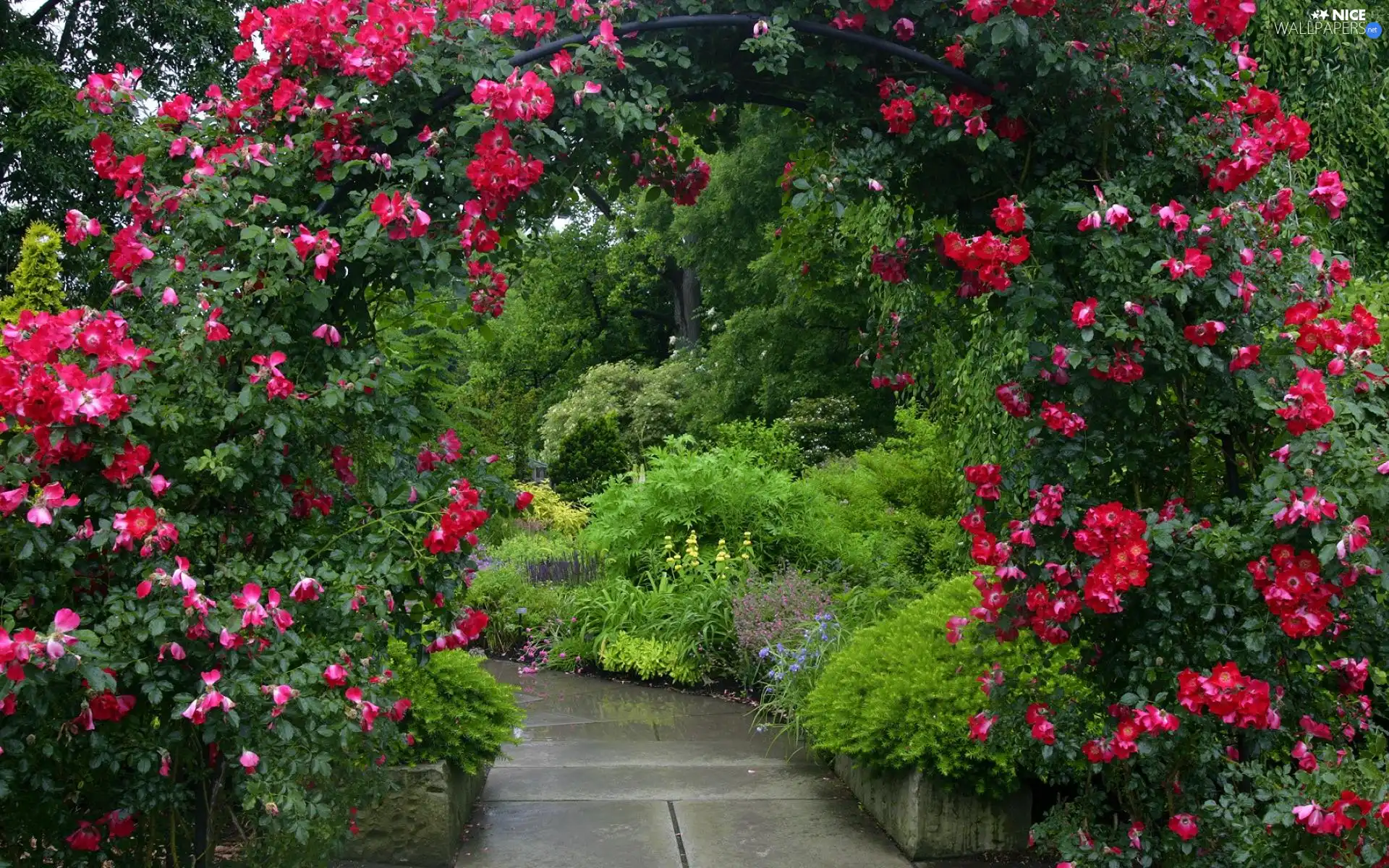 Garden, Path